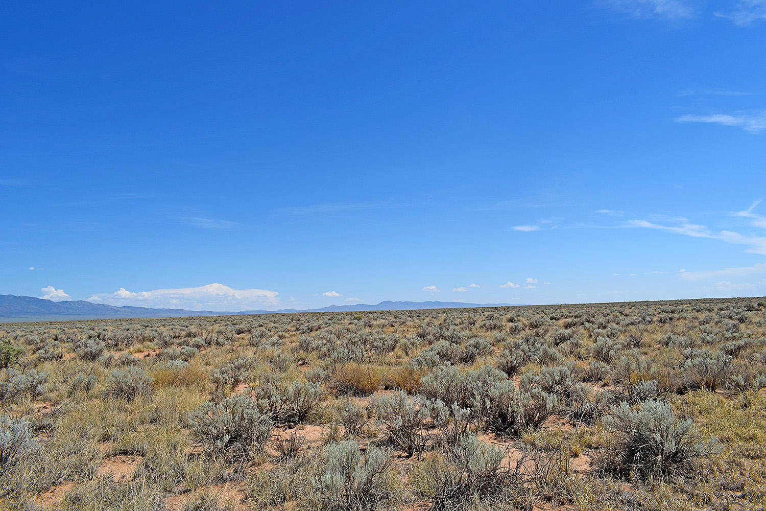 Lot 8 Rio Del Oro #9, Los Lunas, New Mexico image 8