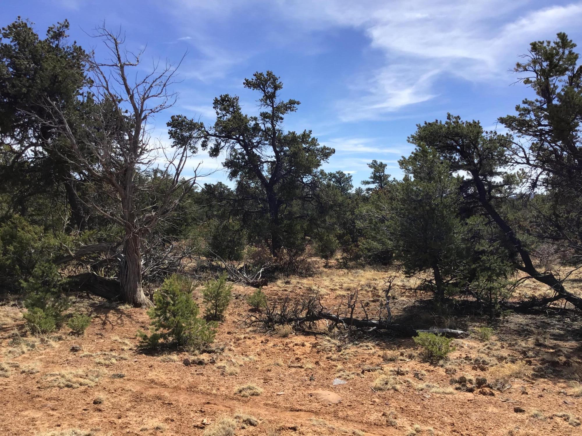 Lot 696 Gabe Road, Ramah, New Mexico image 5