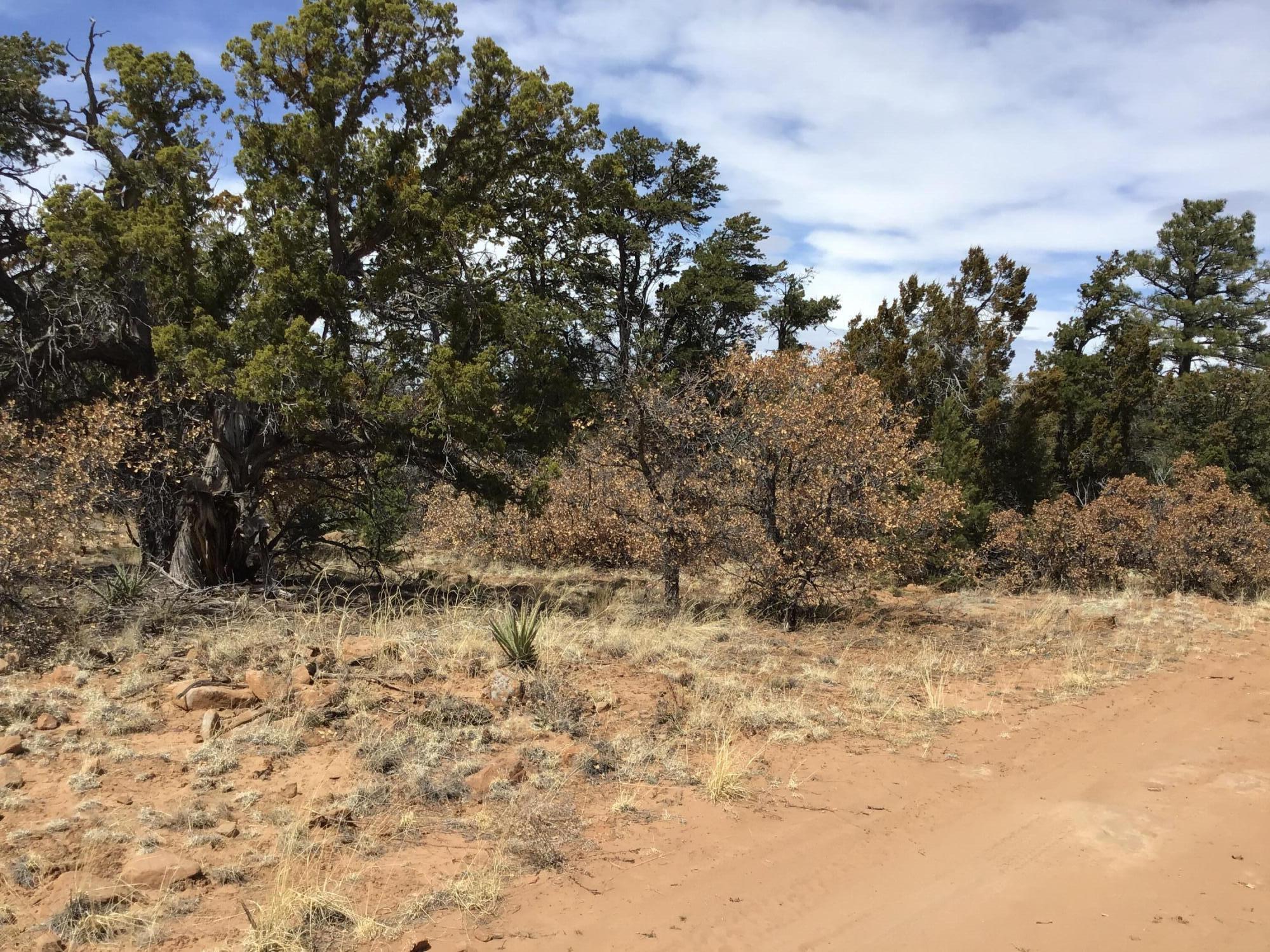 Lot 696 Gabe Road, Ramah, New Mexico image 15