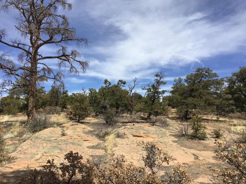 Vacant Land For Sale - LOT 696 Gabe Road<br/> Ramah, NM 87321