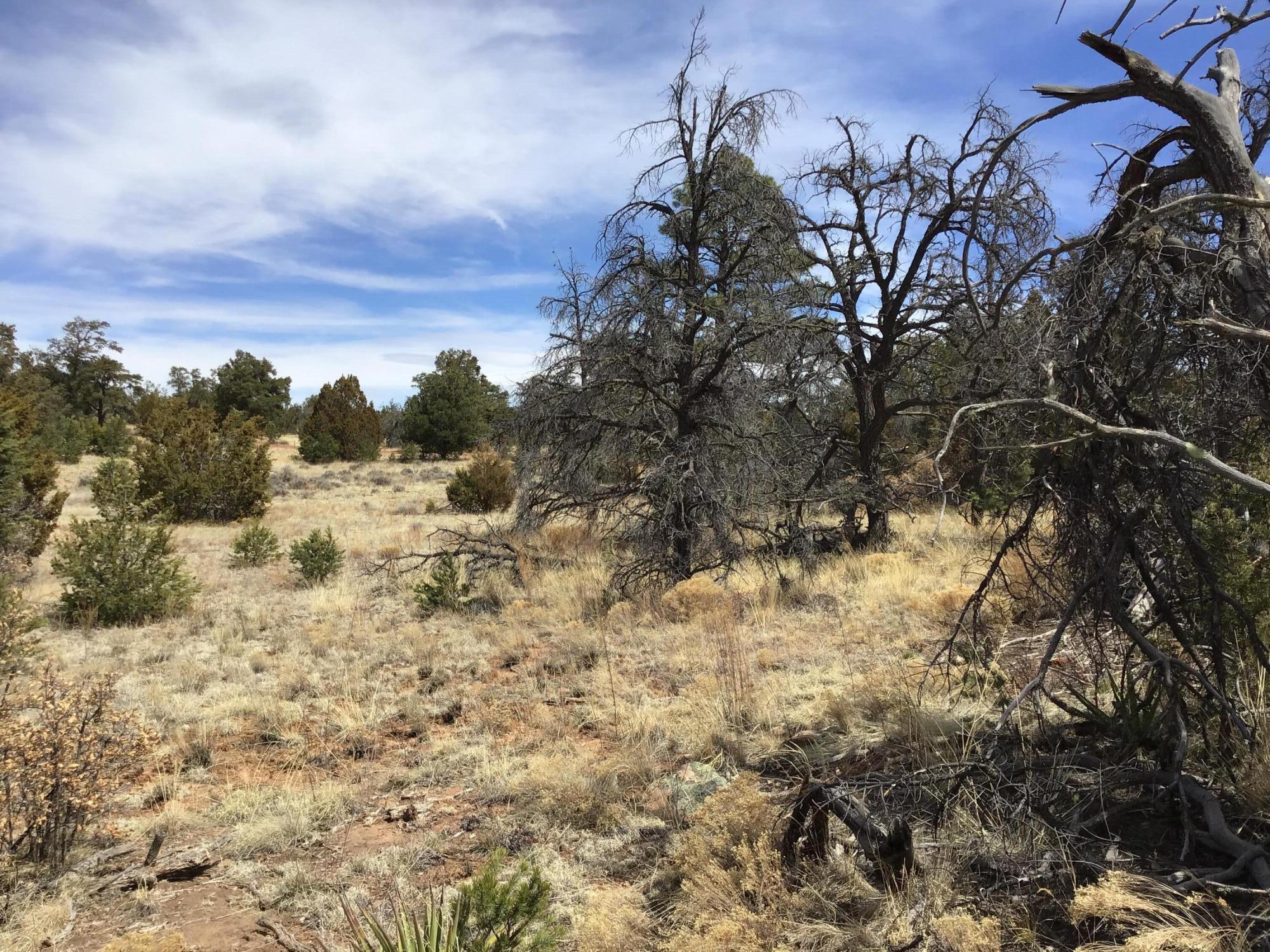 Lot 696 Gabe Road, Ramah, New Mexico image 17