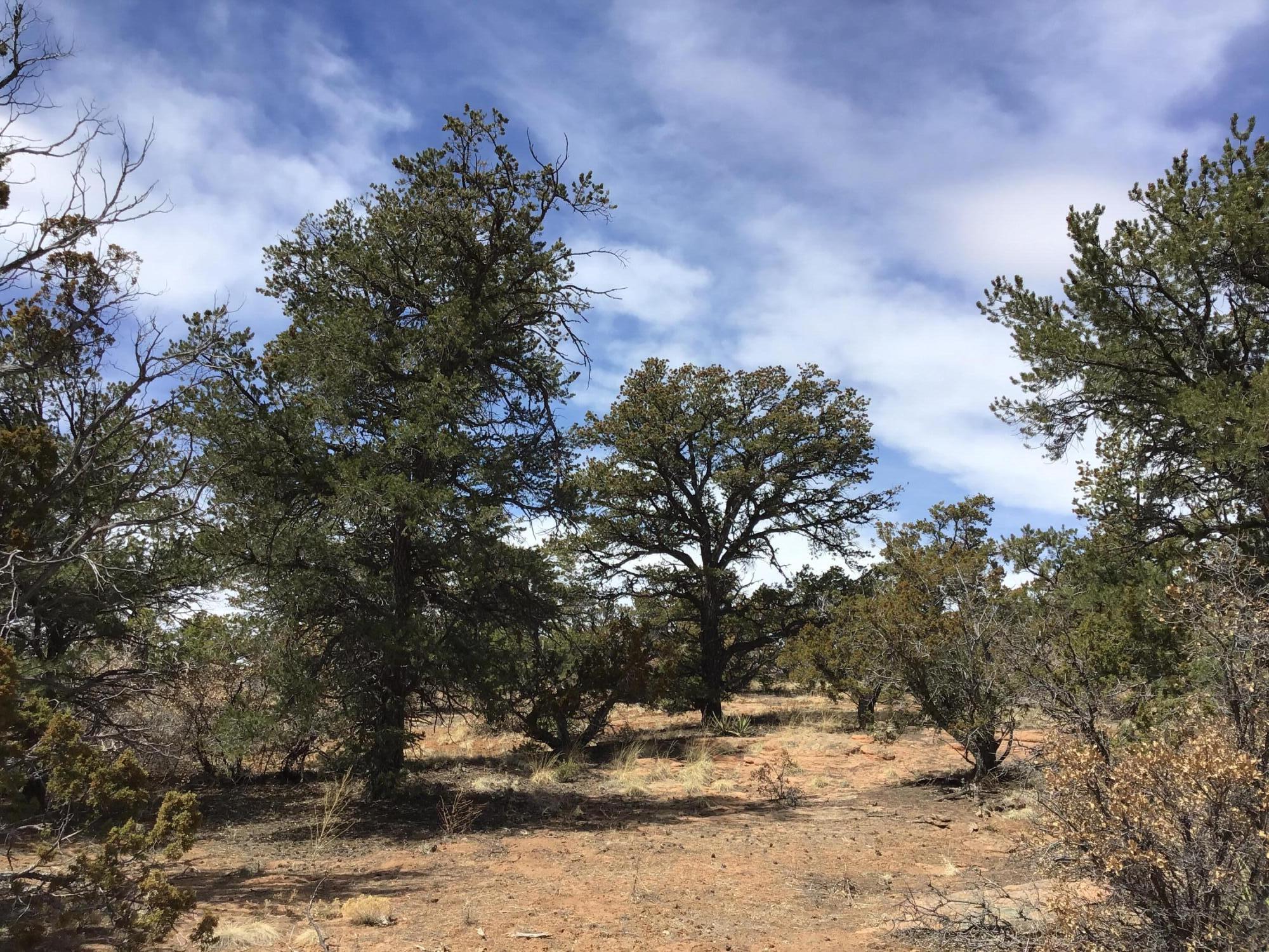 Lot 696 Gabe Road, Ramah, New Mexico image 14