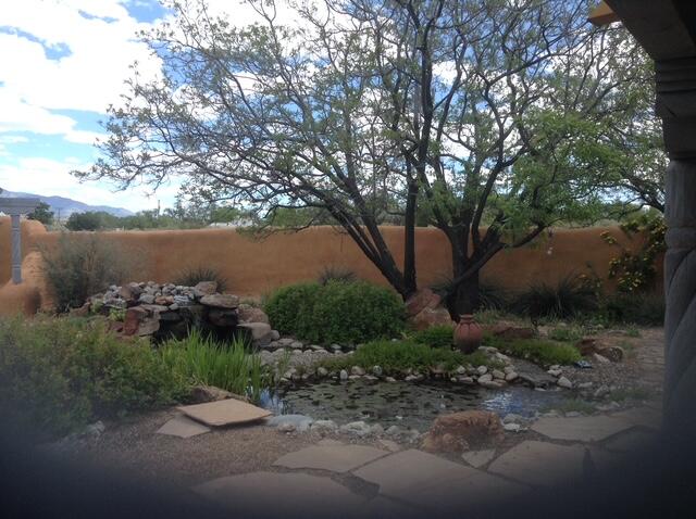 8008 Loma Larga Road, Corrales, New Mexico image 33