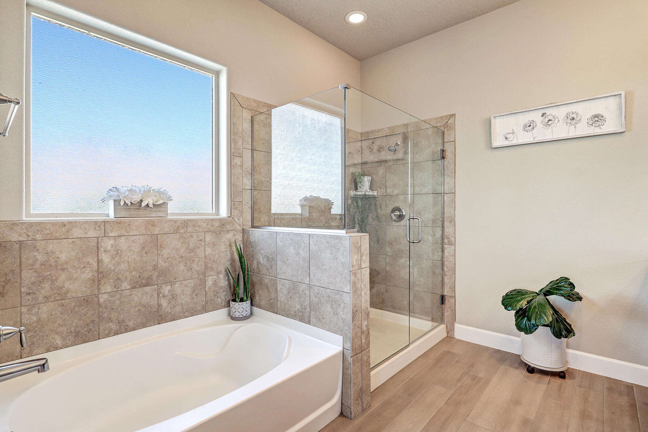 6240 Redroot Street, Albuquerque, New Mexico image 16