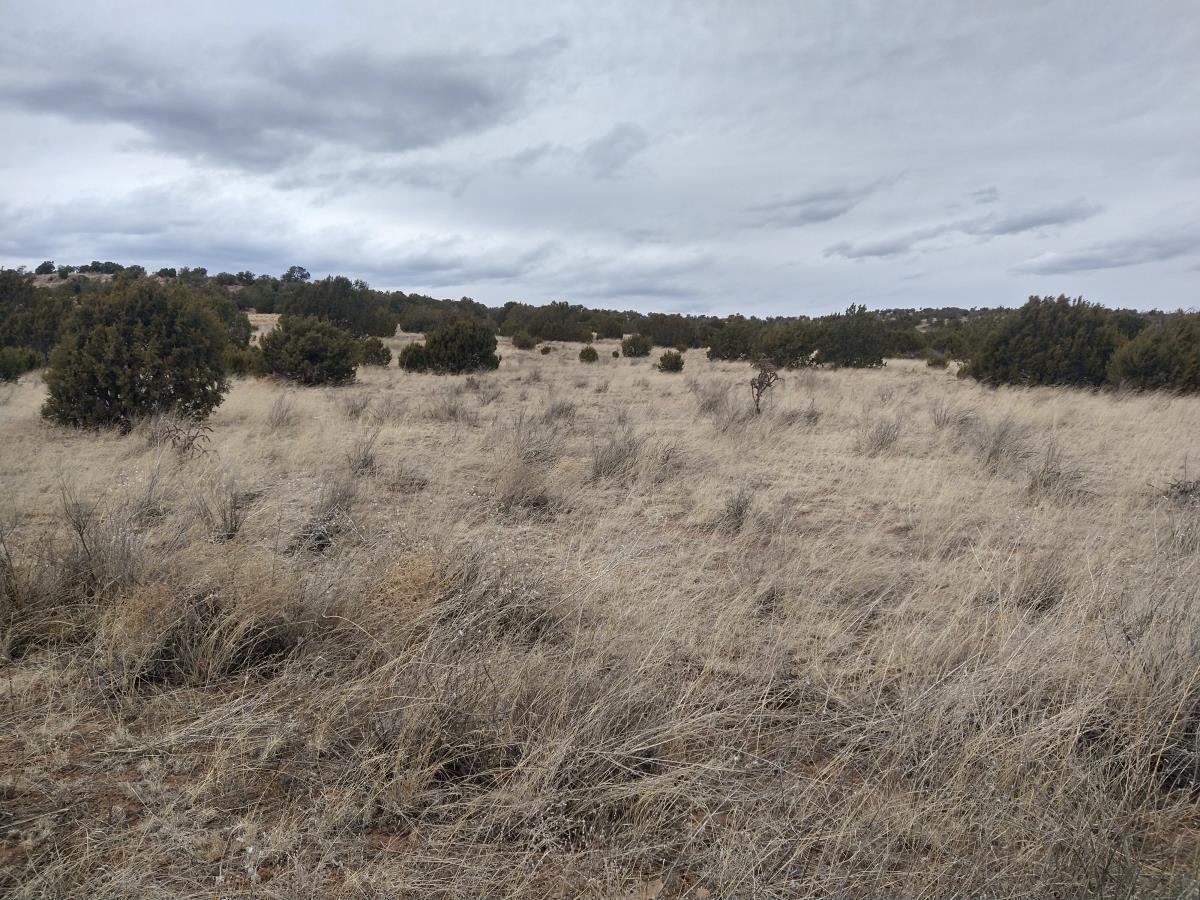 Tract 2 Bridle Path Loop, Mountainair, New Mexico image 6