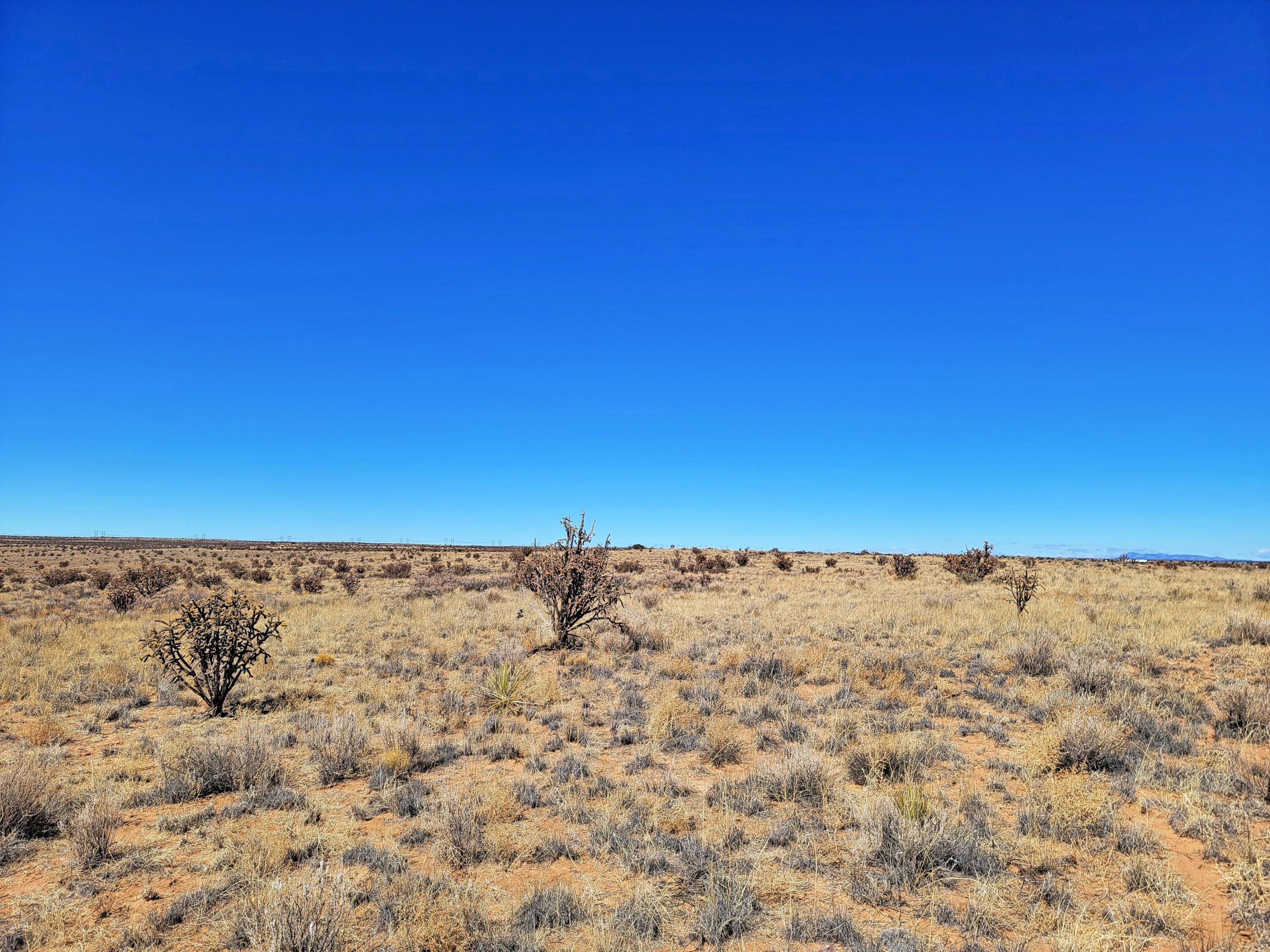 5th Avenue, Rio Rancho, New Mexico image 4