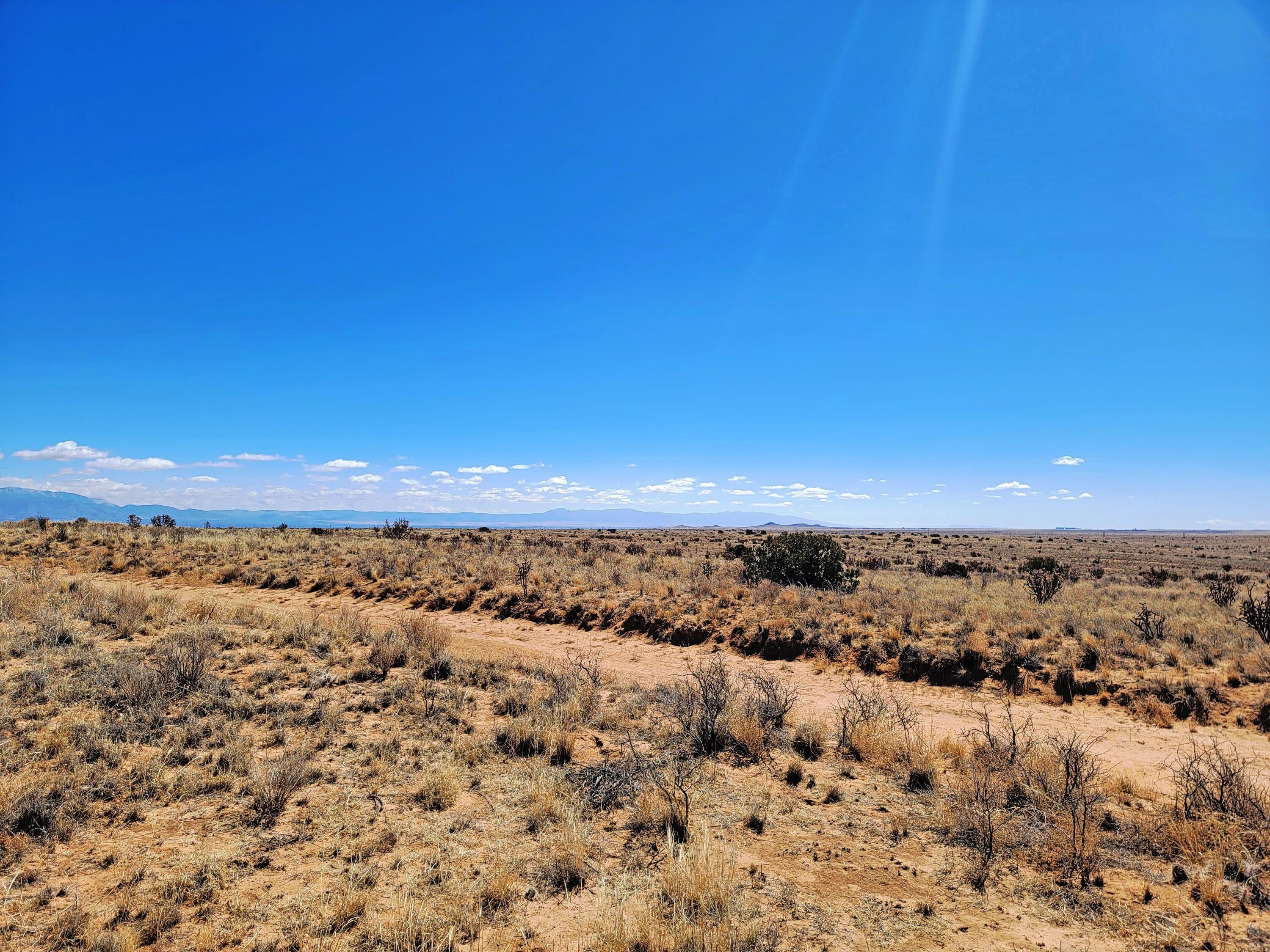 5th Avenue, Rio Rancho, New Mexico image 8