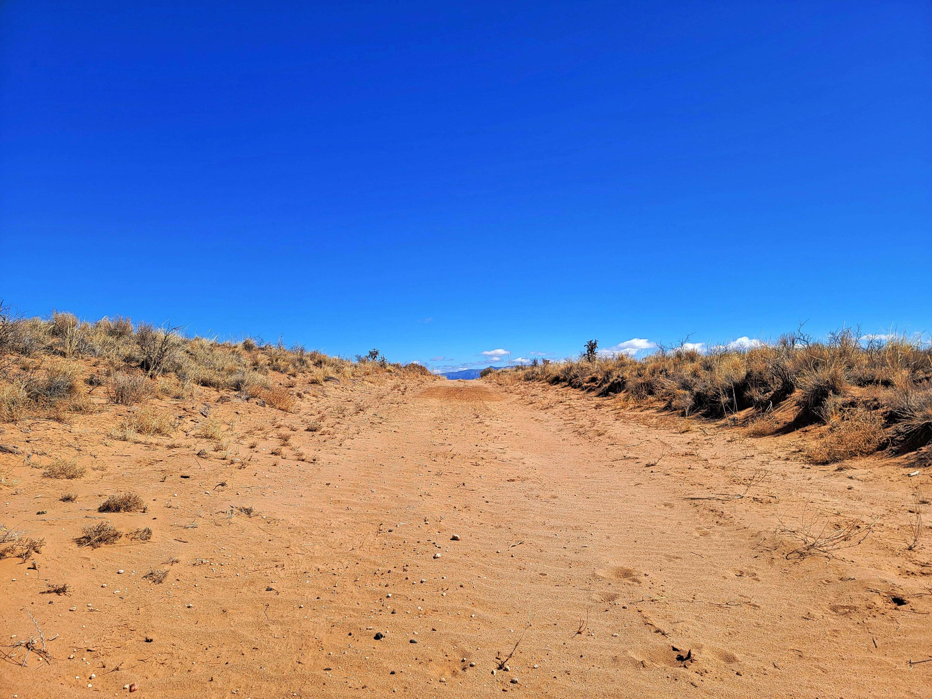 5th Avenue, Rio Rancho, New Mexico image 9