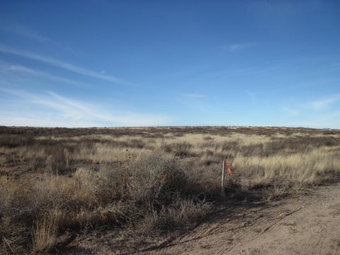 Vacant Land For Sale - 19 Mesa Road<br/> Moriarty, NM 87035
