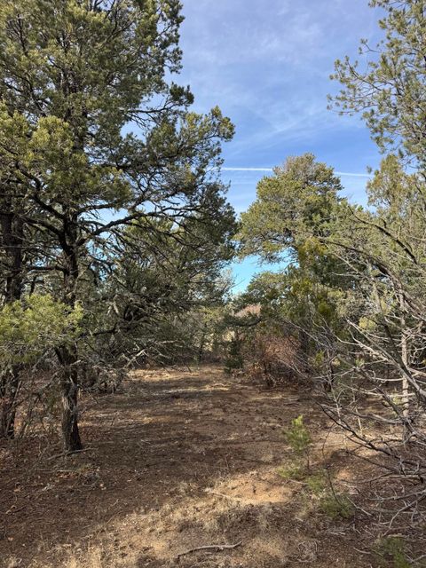 Photo of 90 Candelaria Road, Tijeras, NM 87059 (MLS # 1096730)