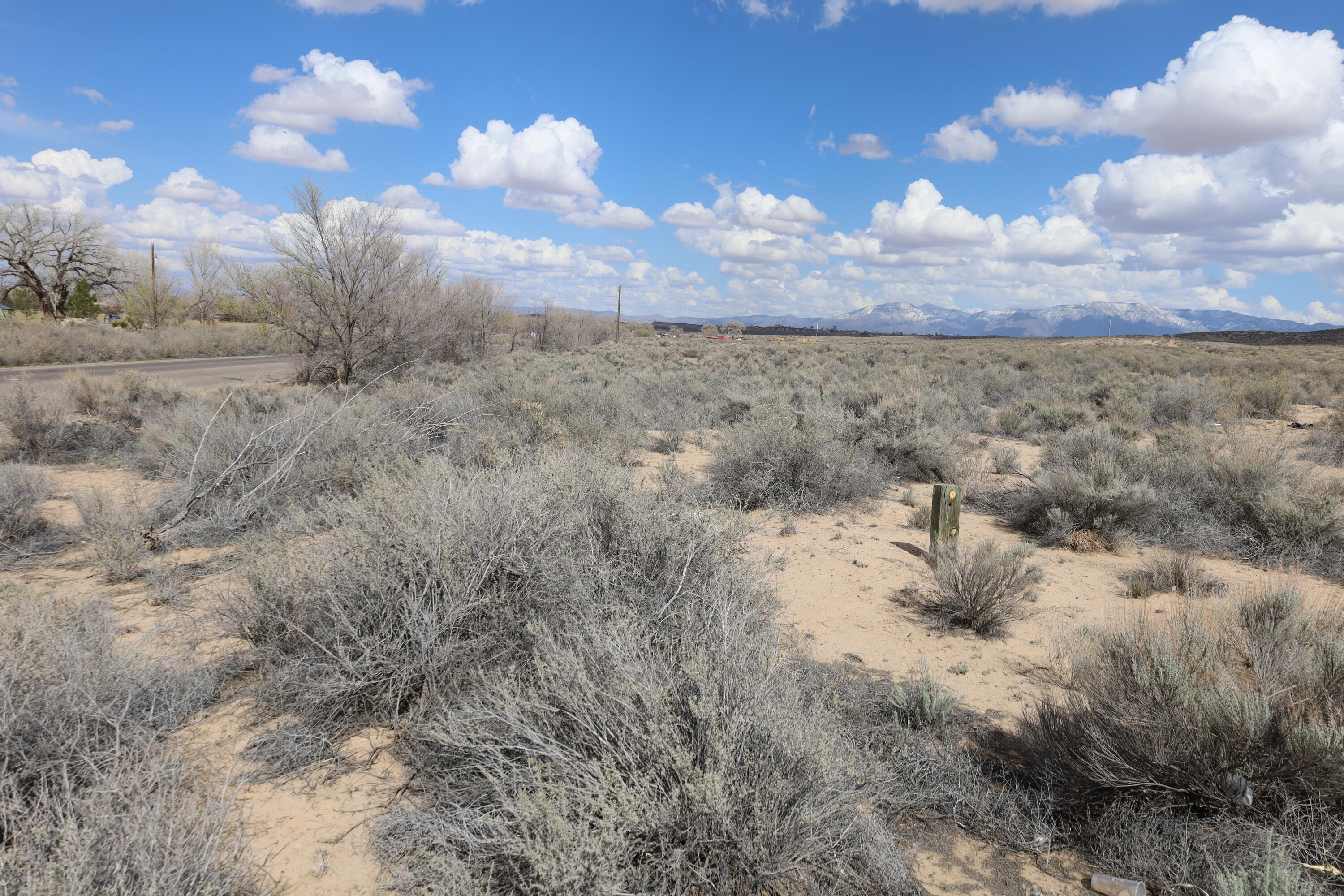 Sand Hill Road, Los Lunas, New Mexico image 4