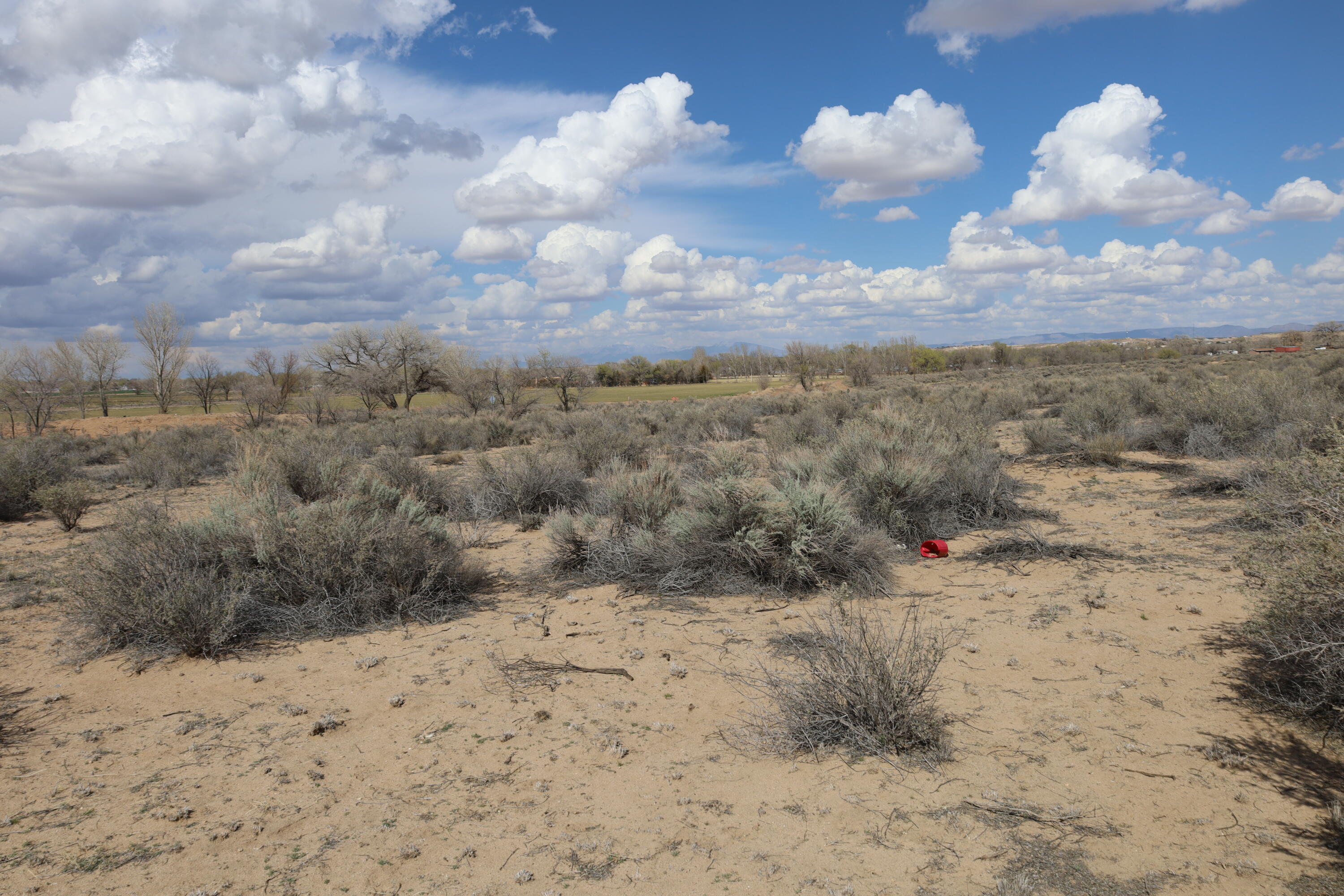 Sand Hill Road, Los Lunas, New Mexico image 5