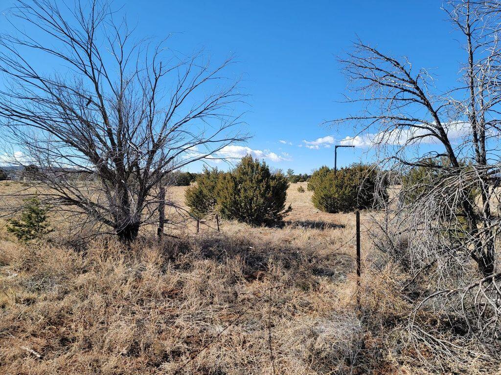 294 Dinkle Road, Edgewood, New Mexico image 4