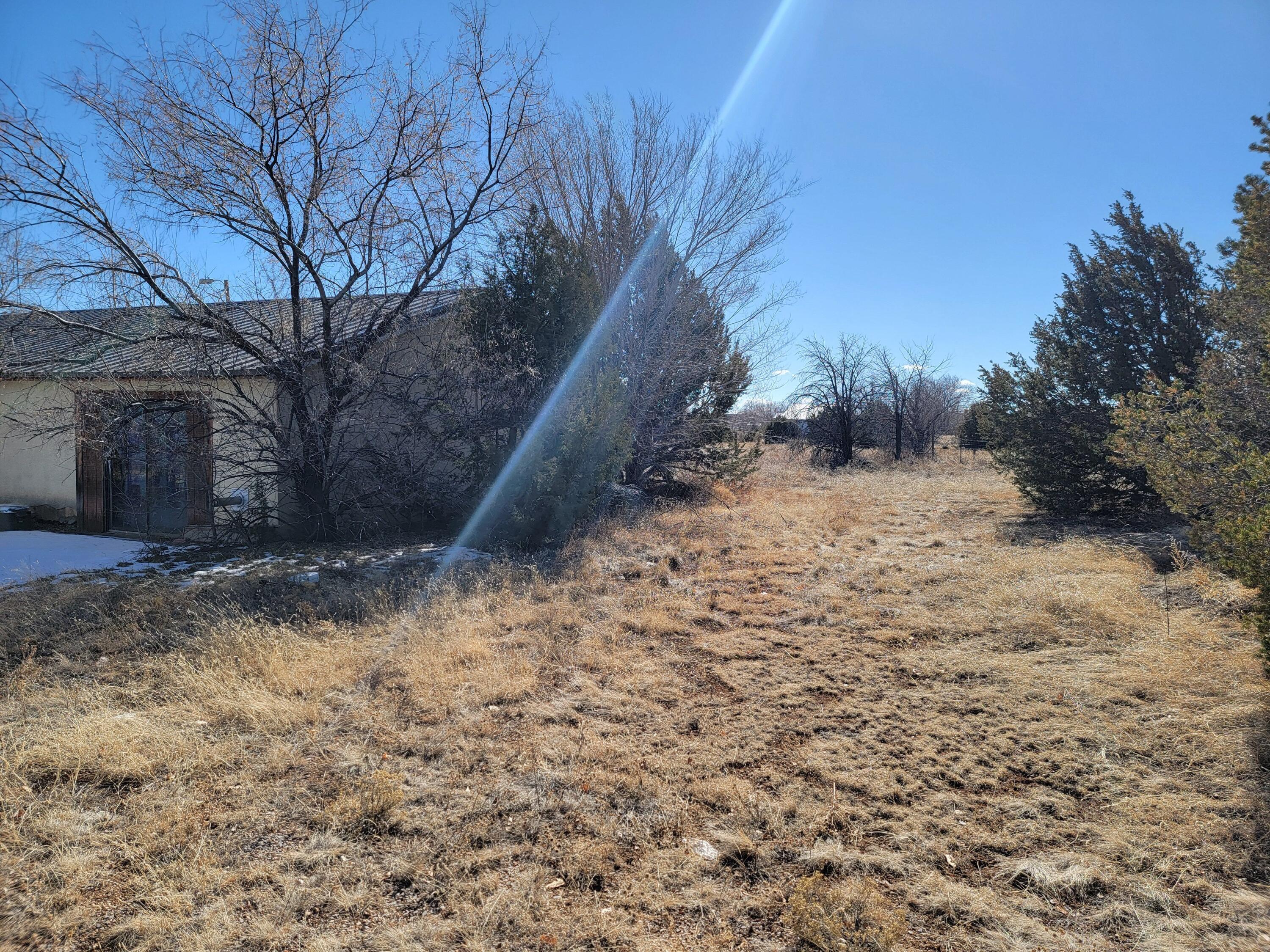 294 Dinkle Road, Edgewood, New Mexico image 5