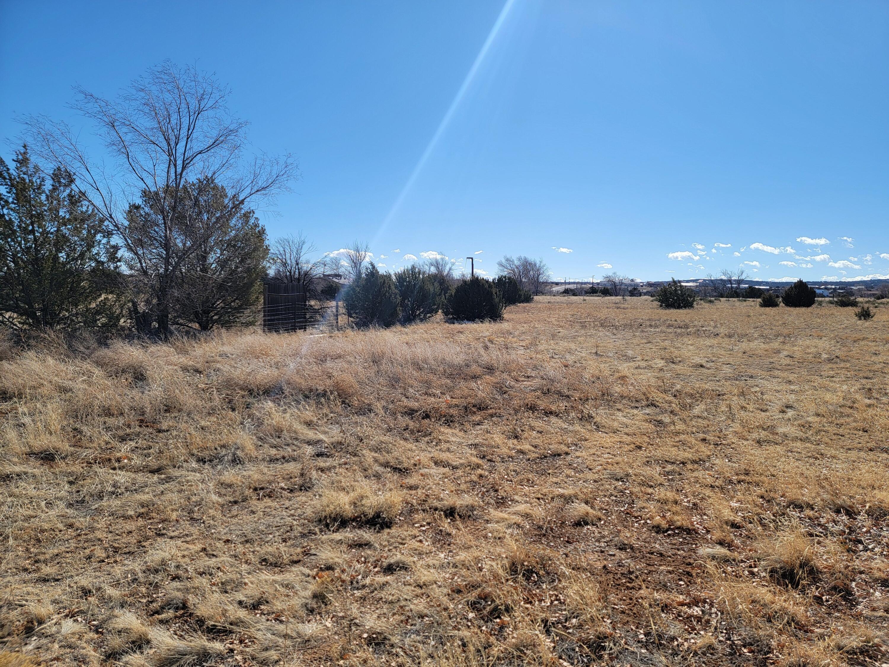 294 Dinkle Road, Edgewood, New Mexico image 2