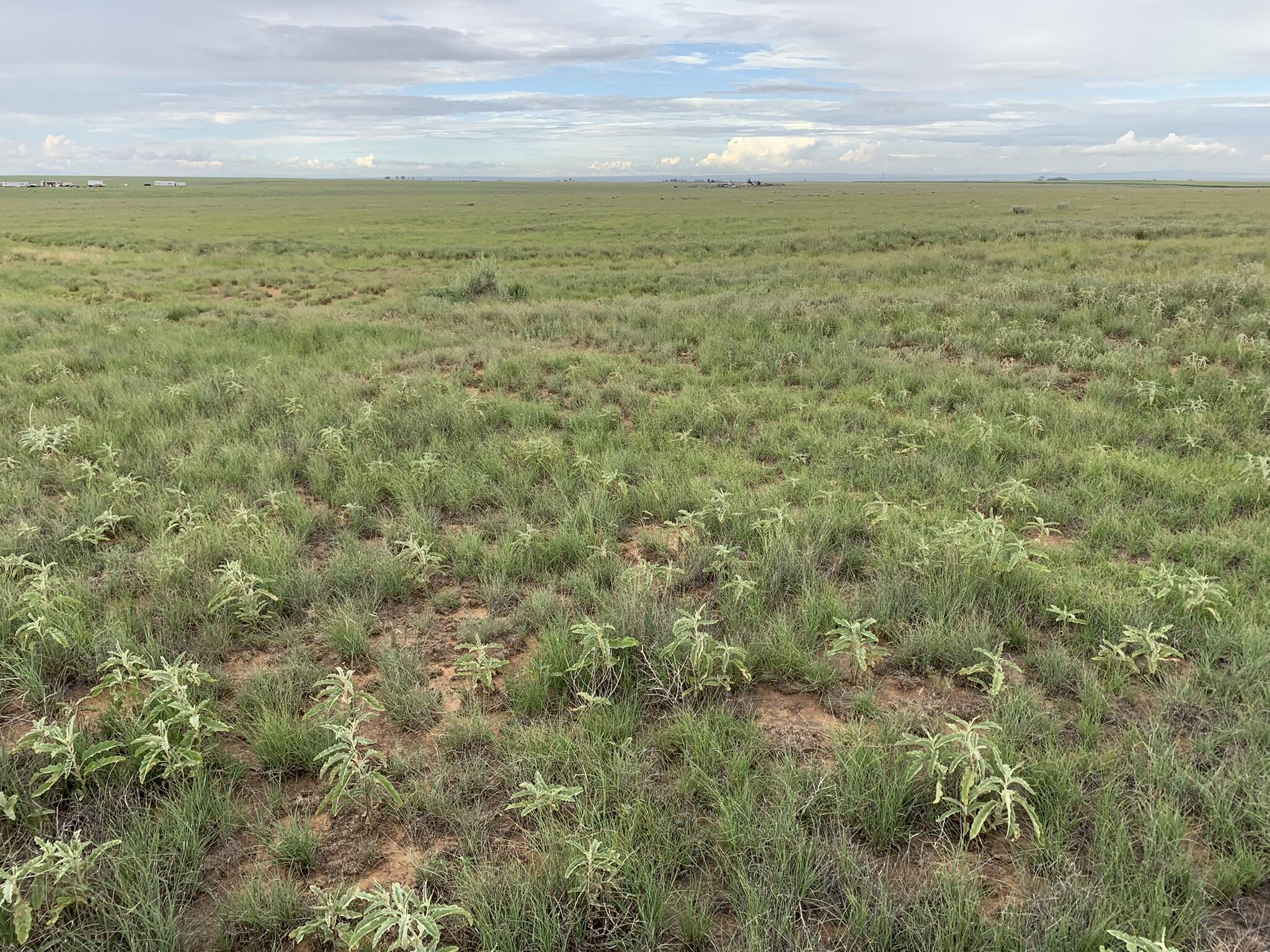 Bluegrass Road, Estancia, New Mexico image 2