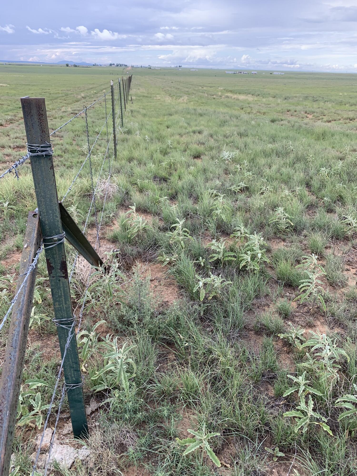 Bluegrass Road, Estancia, New Mexico image 3