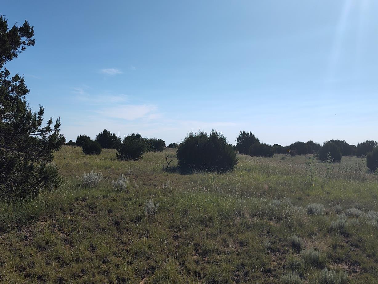 State Highway 55, Tajique, New Mexico image 19