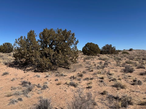 Vacant Land For Sale - Antares Court<br/> Rio Rancho, NM 87144
