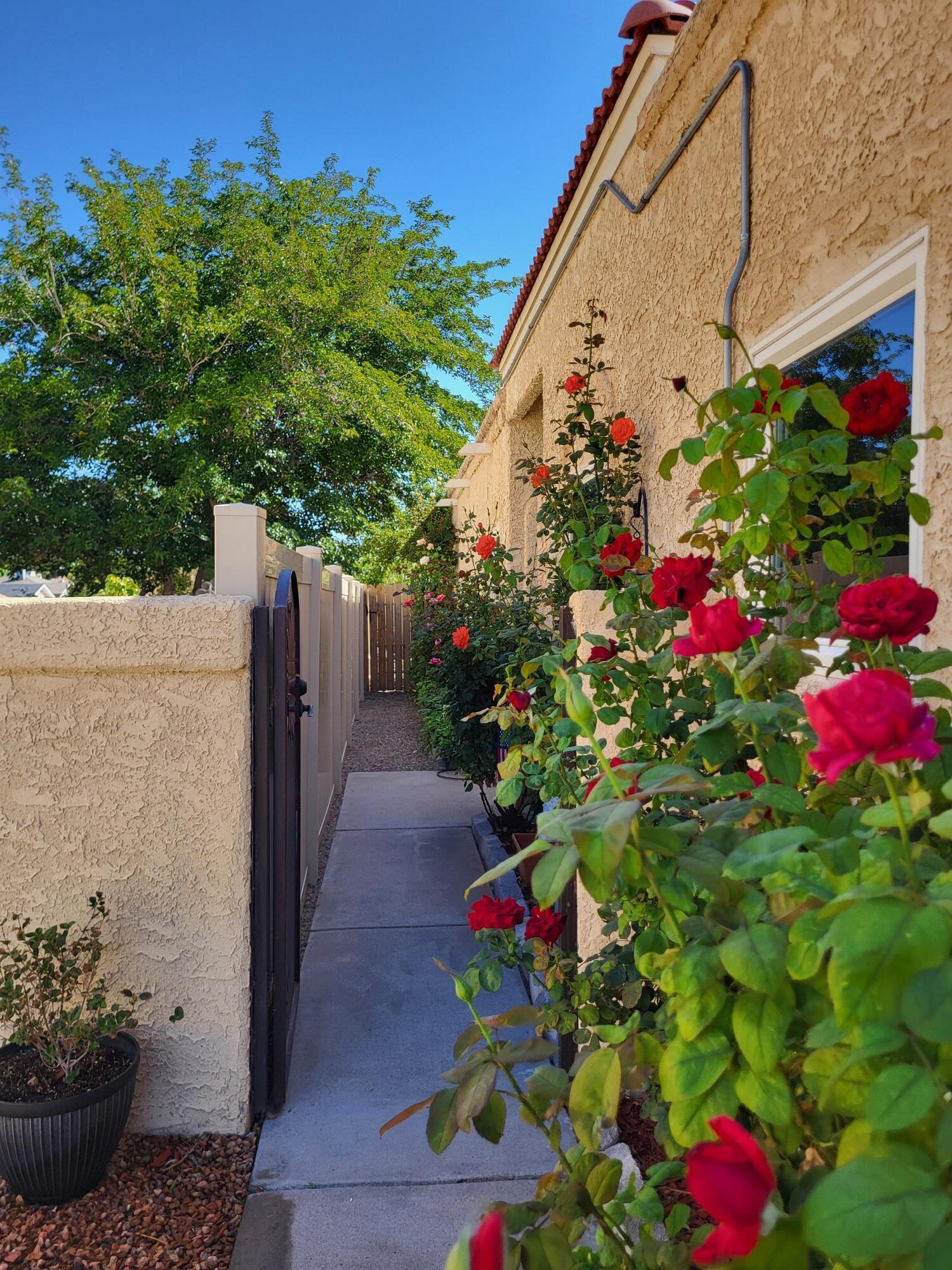 4805 Los Serranos Court, Albuquerque, New Mexico image 4