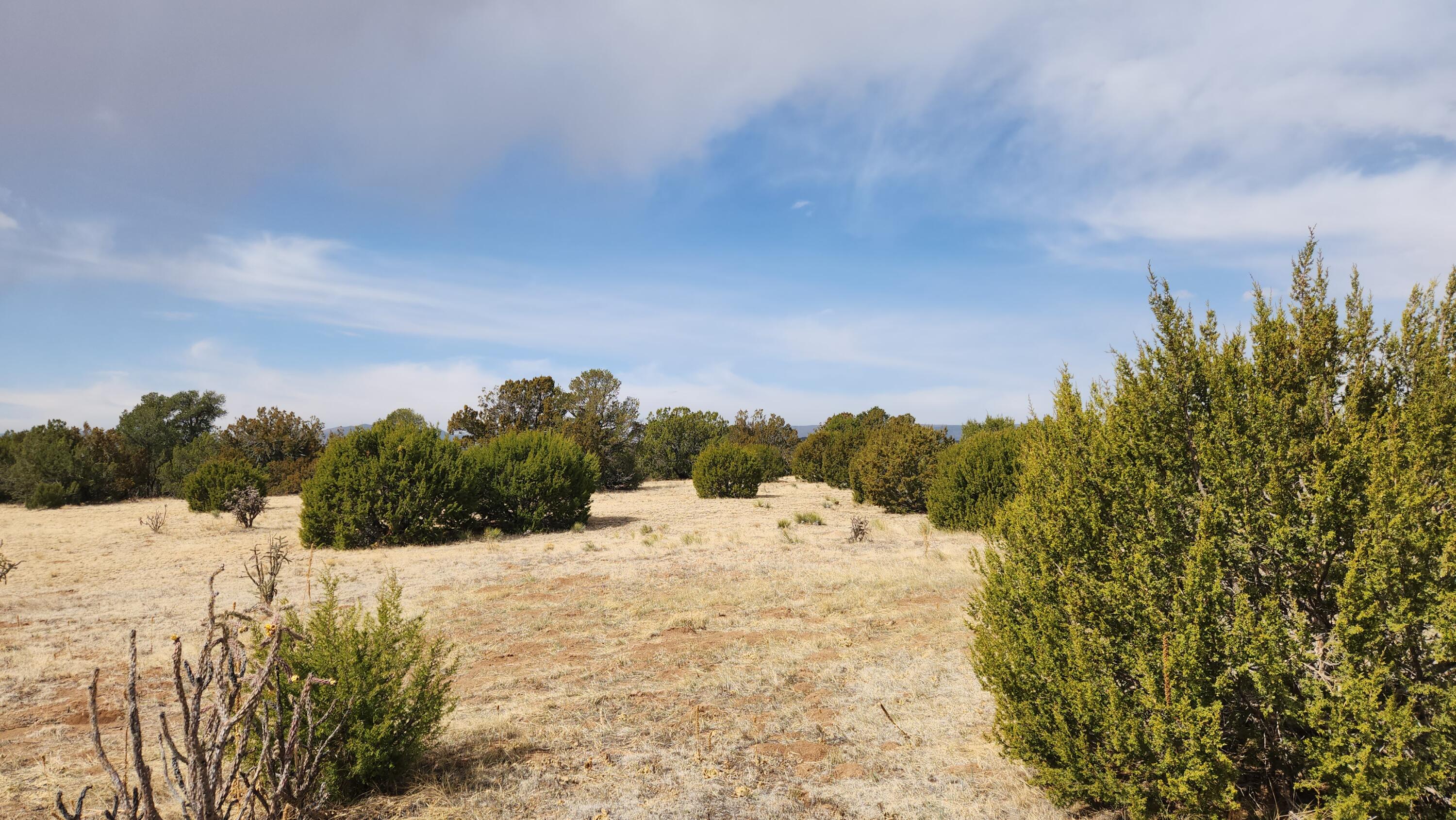 22 La Miga Canyon Road, Estancia, New Mexico image 24