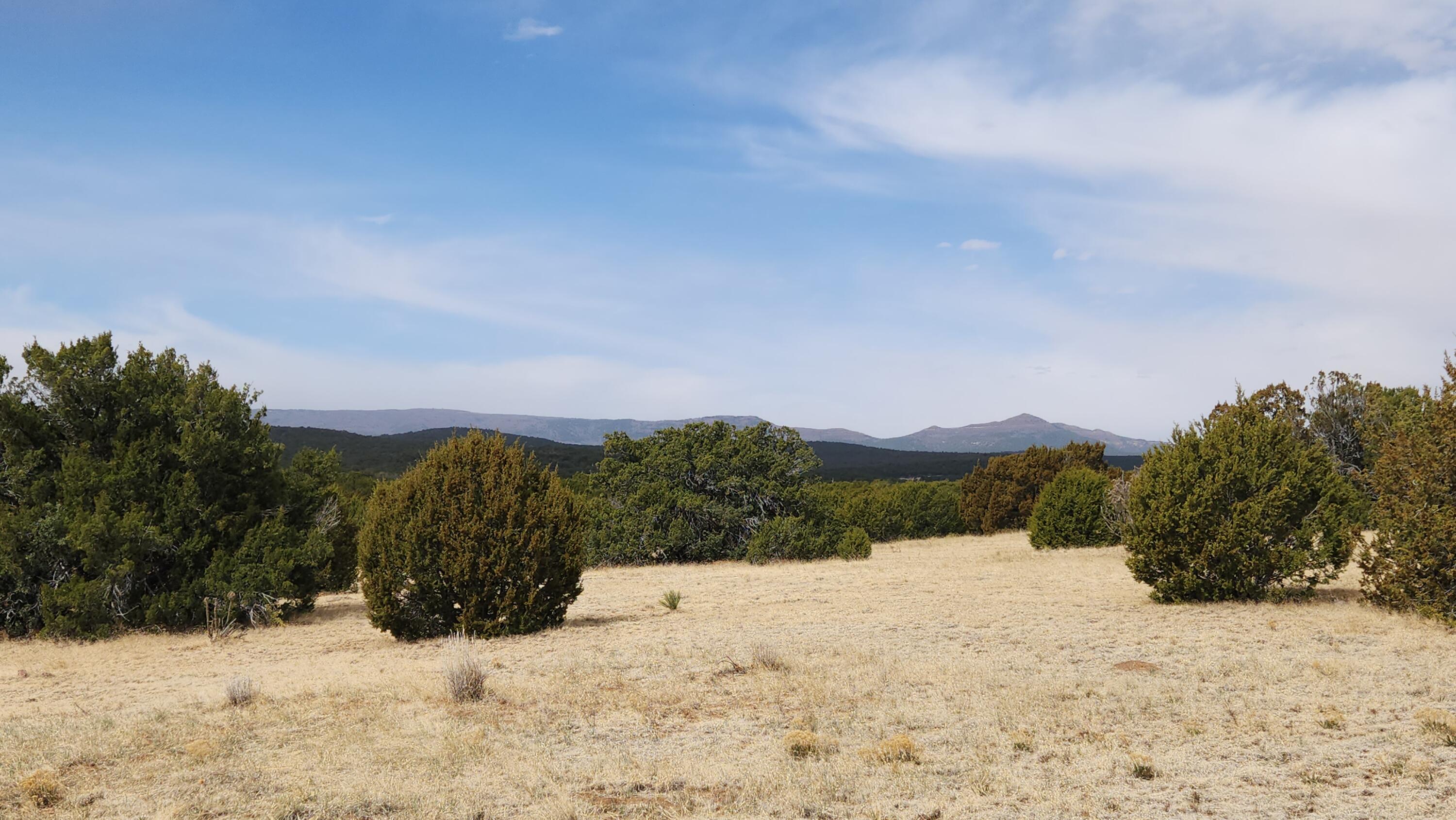 22 La Miga Canyon Road, Estancia, New Mexico image 26