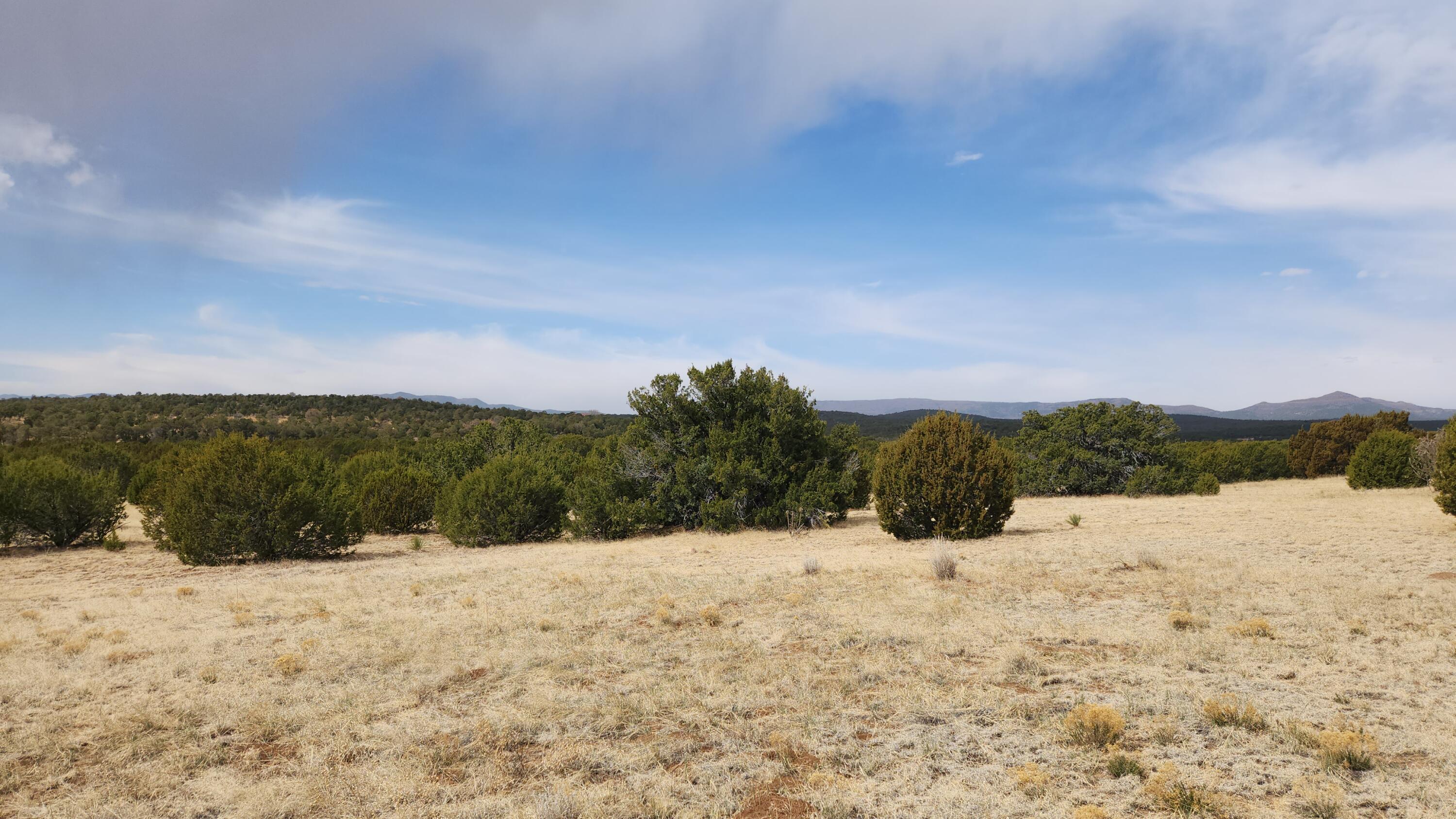 22 La Miga Canyon Road, Estancia, New Mexico image 25