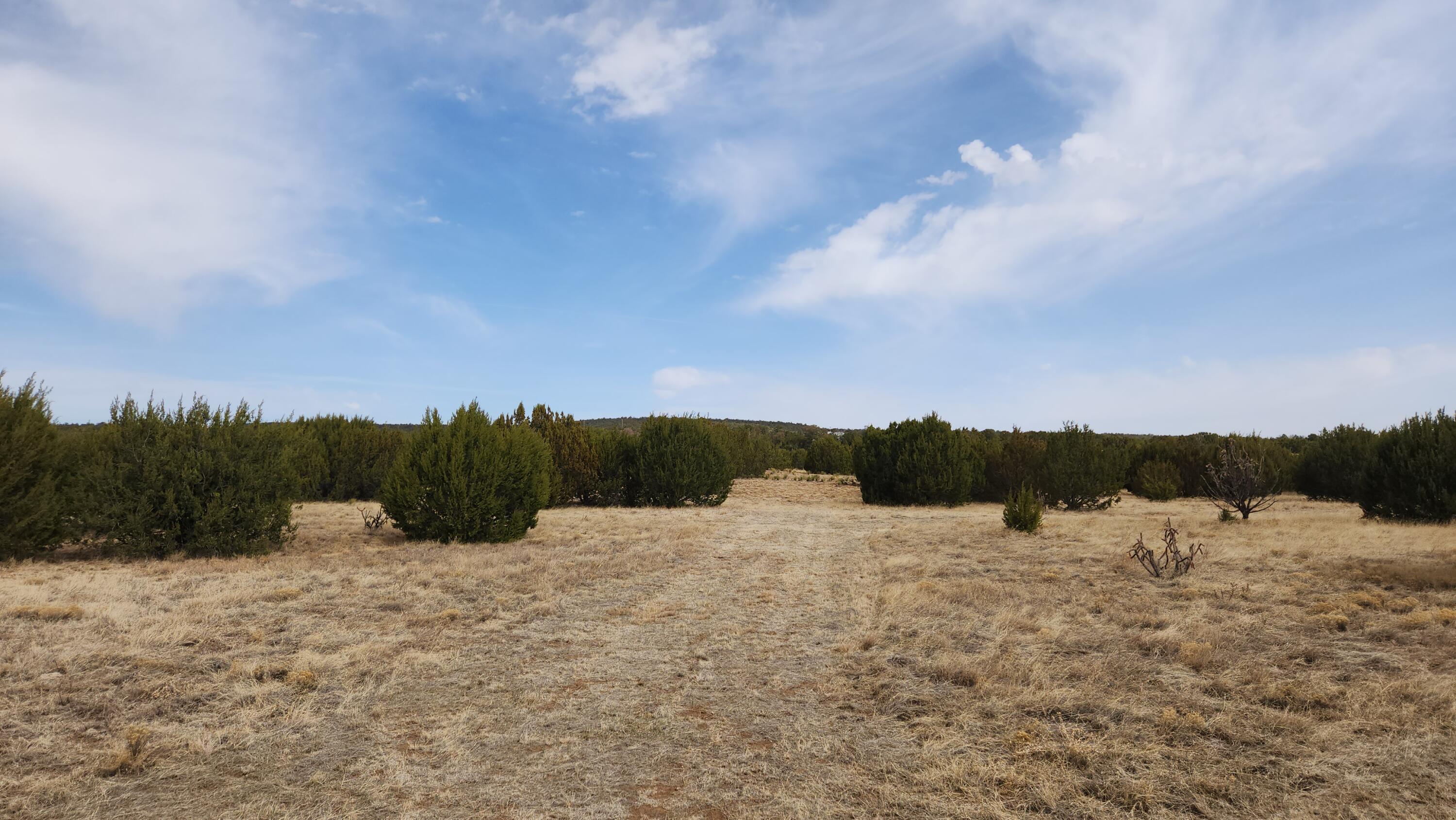 22 La Miga Canyon Road, Estancia, New Mexico image 27
