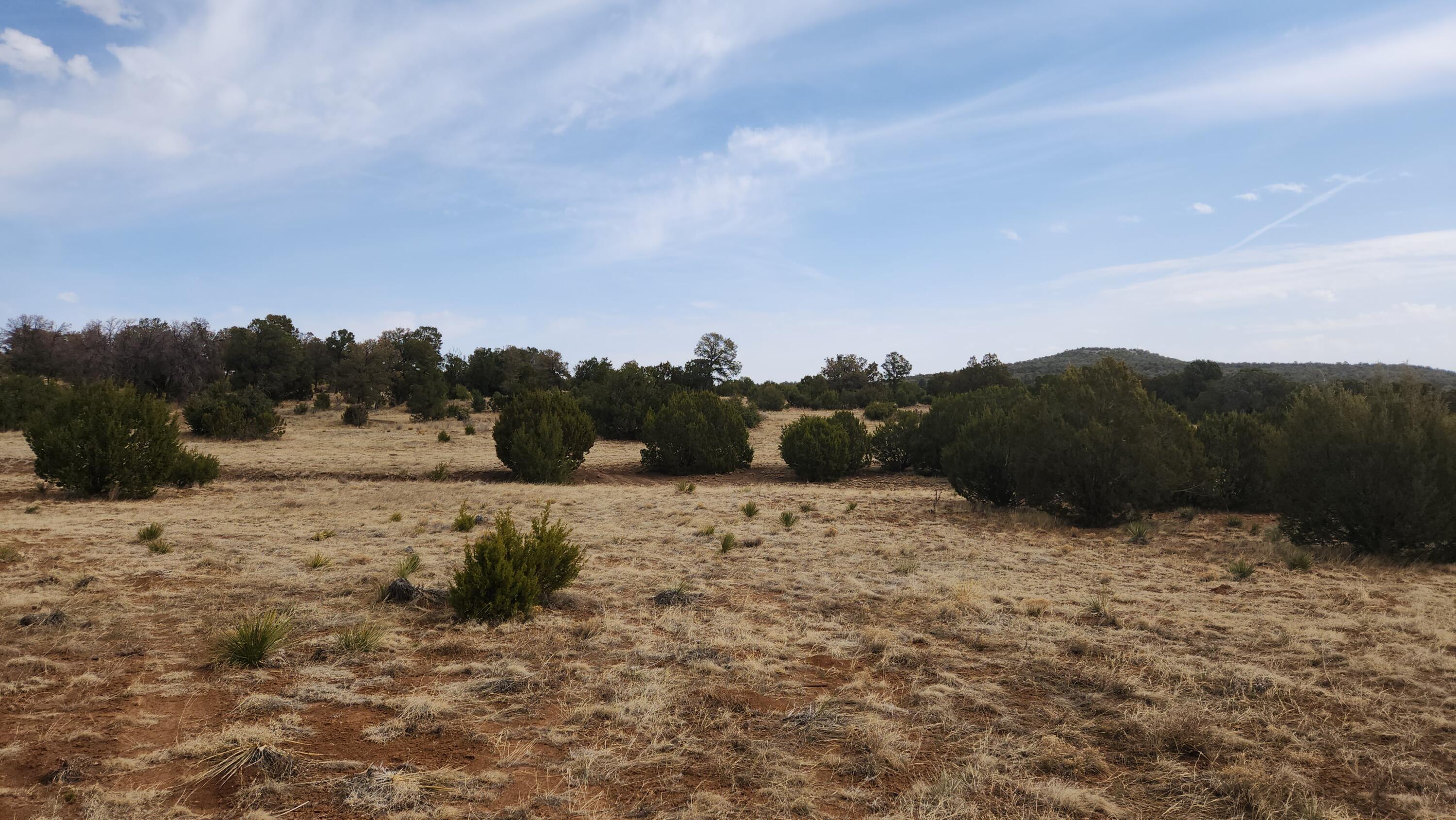 22 La Miga Canyon Road, Estancia, New Mexico image 29