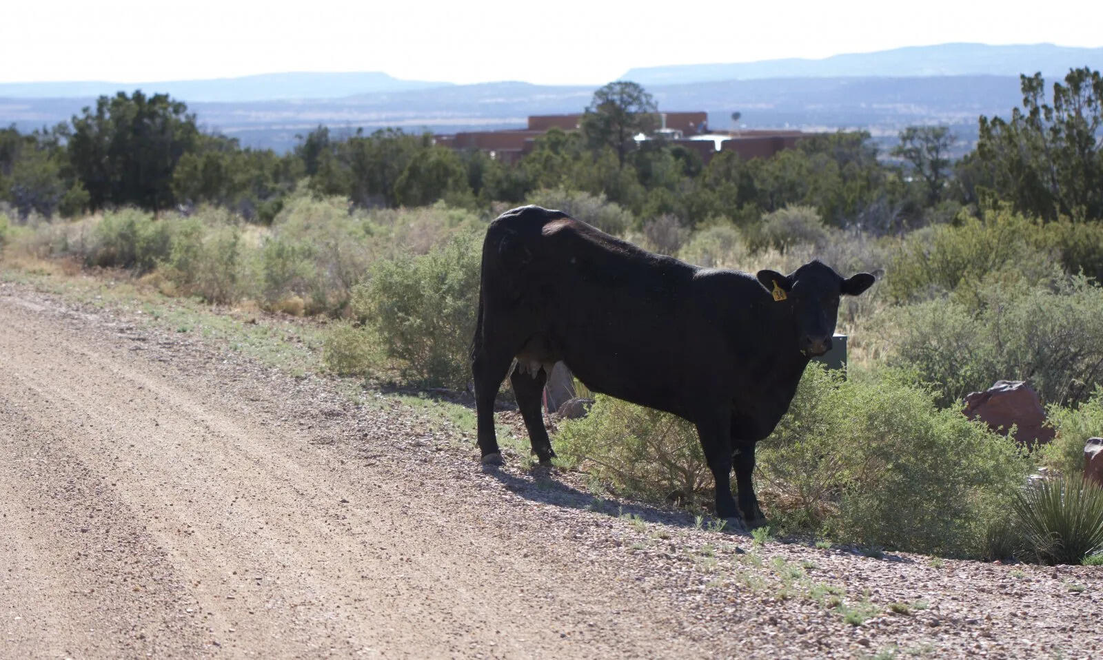 9 Caje Trail, Mountainair, New Mexico image 31