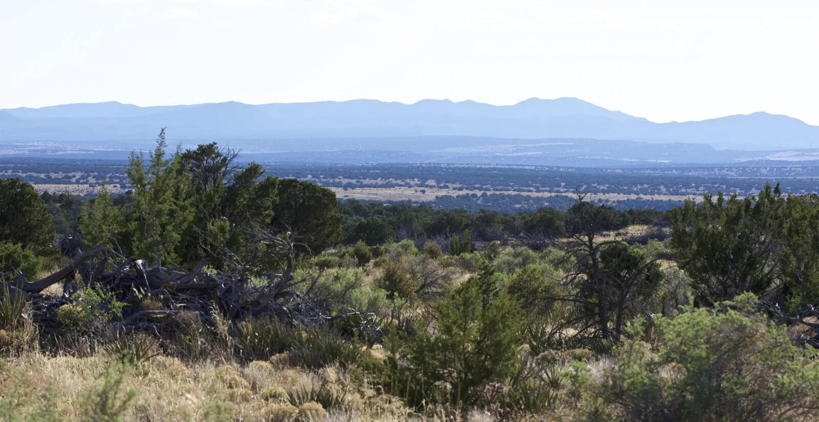 9 Caje Trail, Mountainair, New Mexico image 37