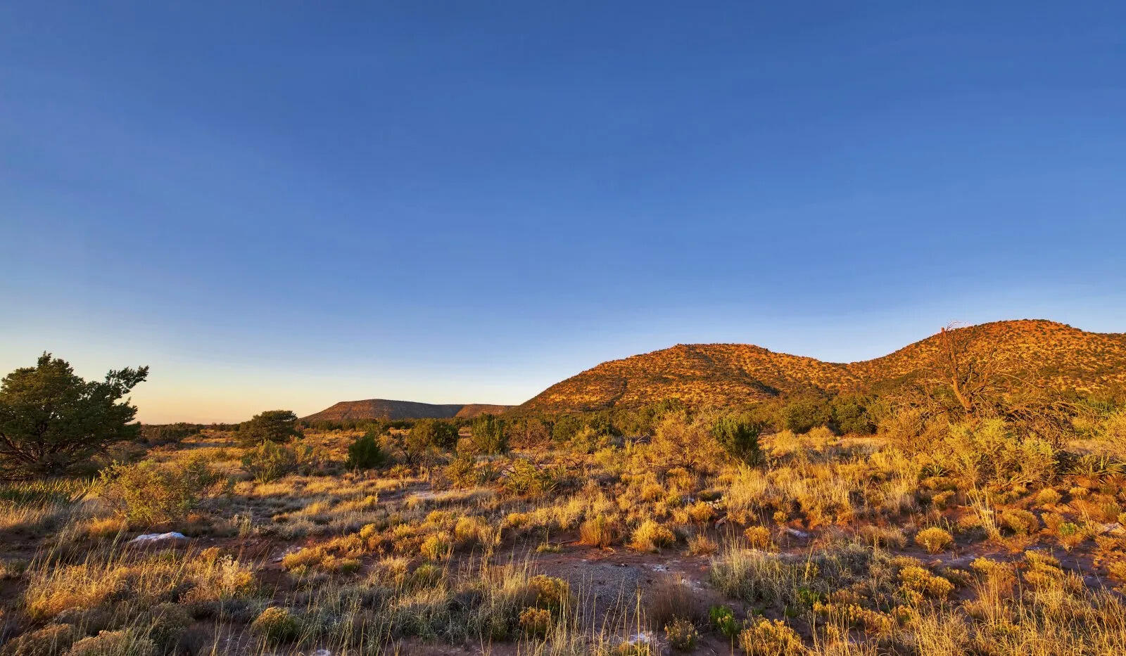 9 Caje Trail, Mountainair, New Mexico image 50