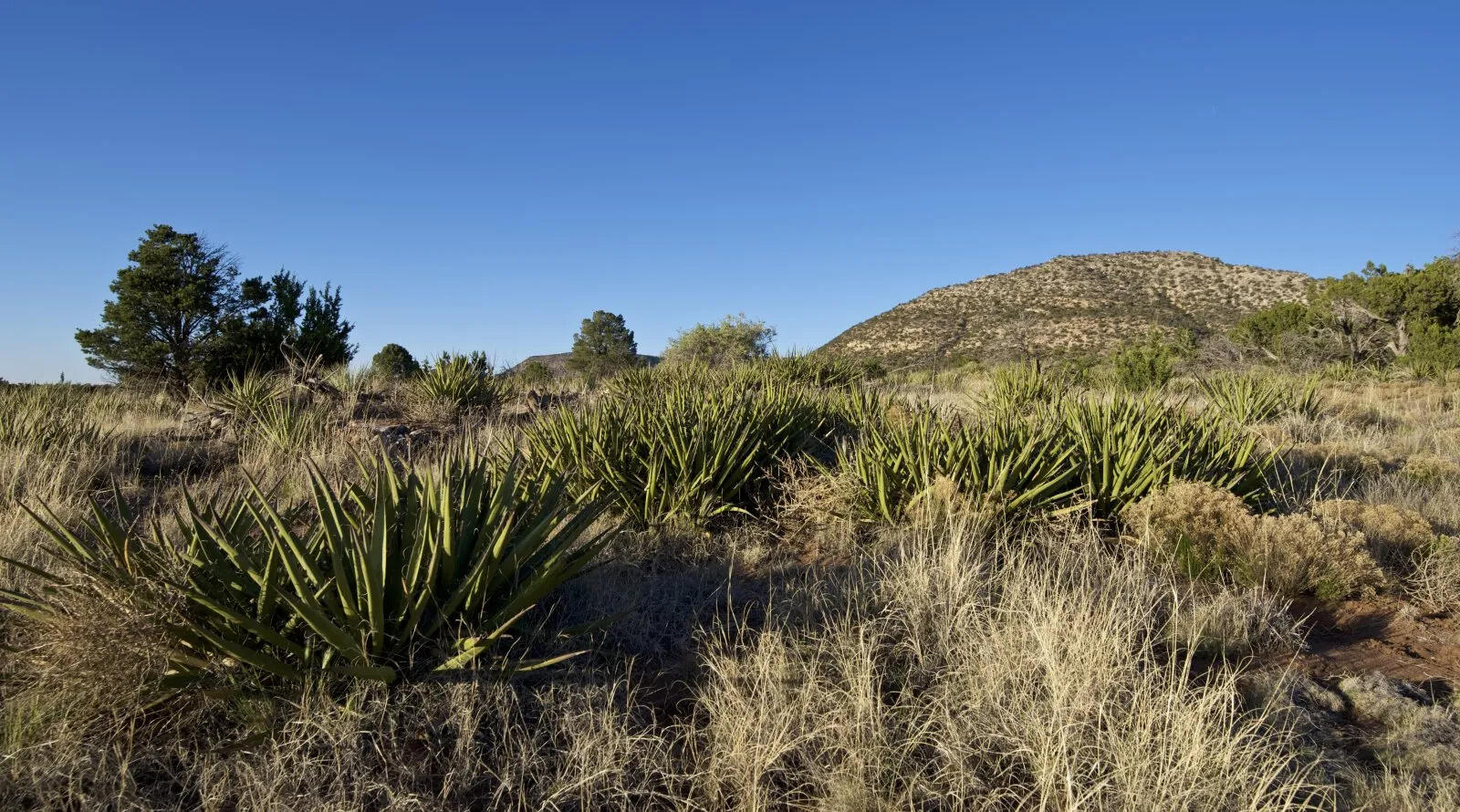 9 Caje Trail, Mountainair, New Mexico image 46