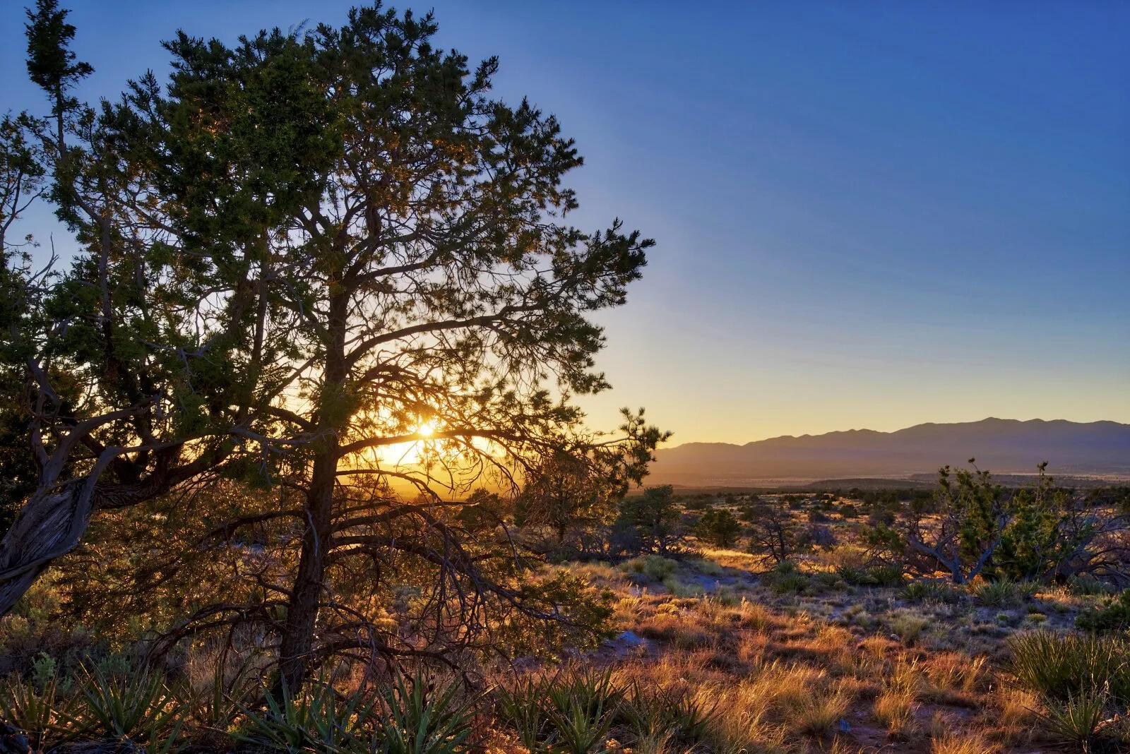 9 Caje Trail, Mountainair, New Mexico image 33