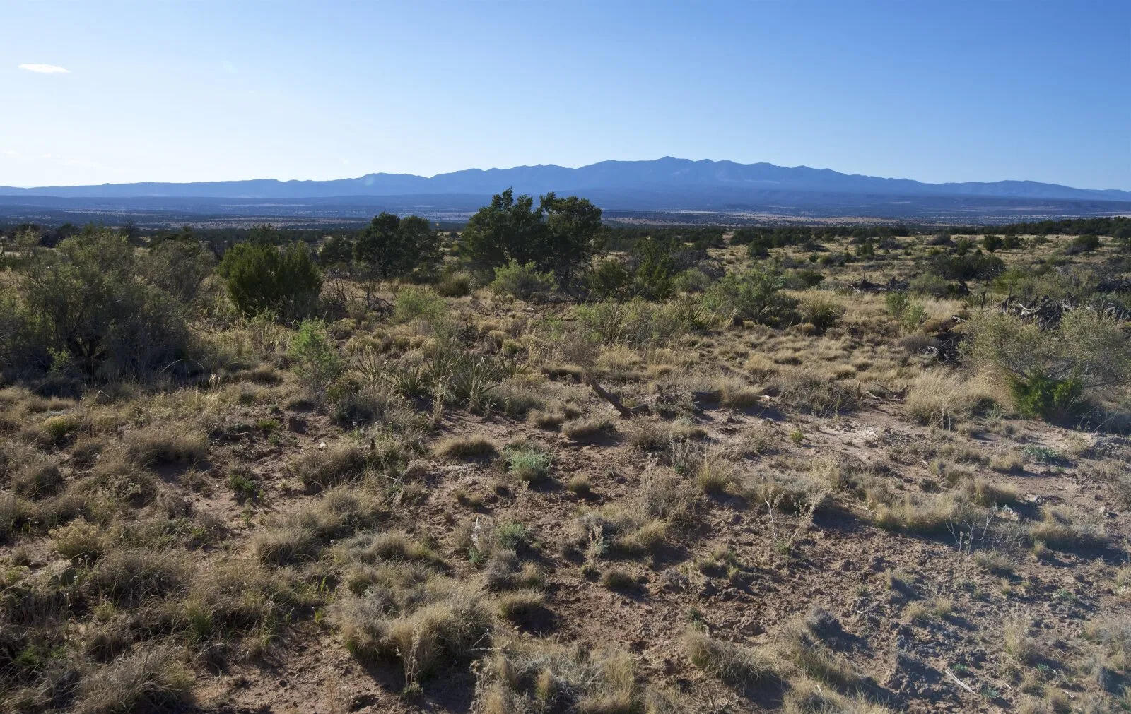 9 Caje Trail, Mountainair, New Mexico image 34