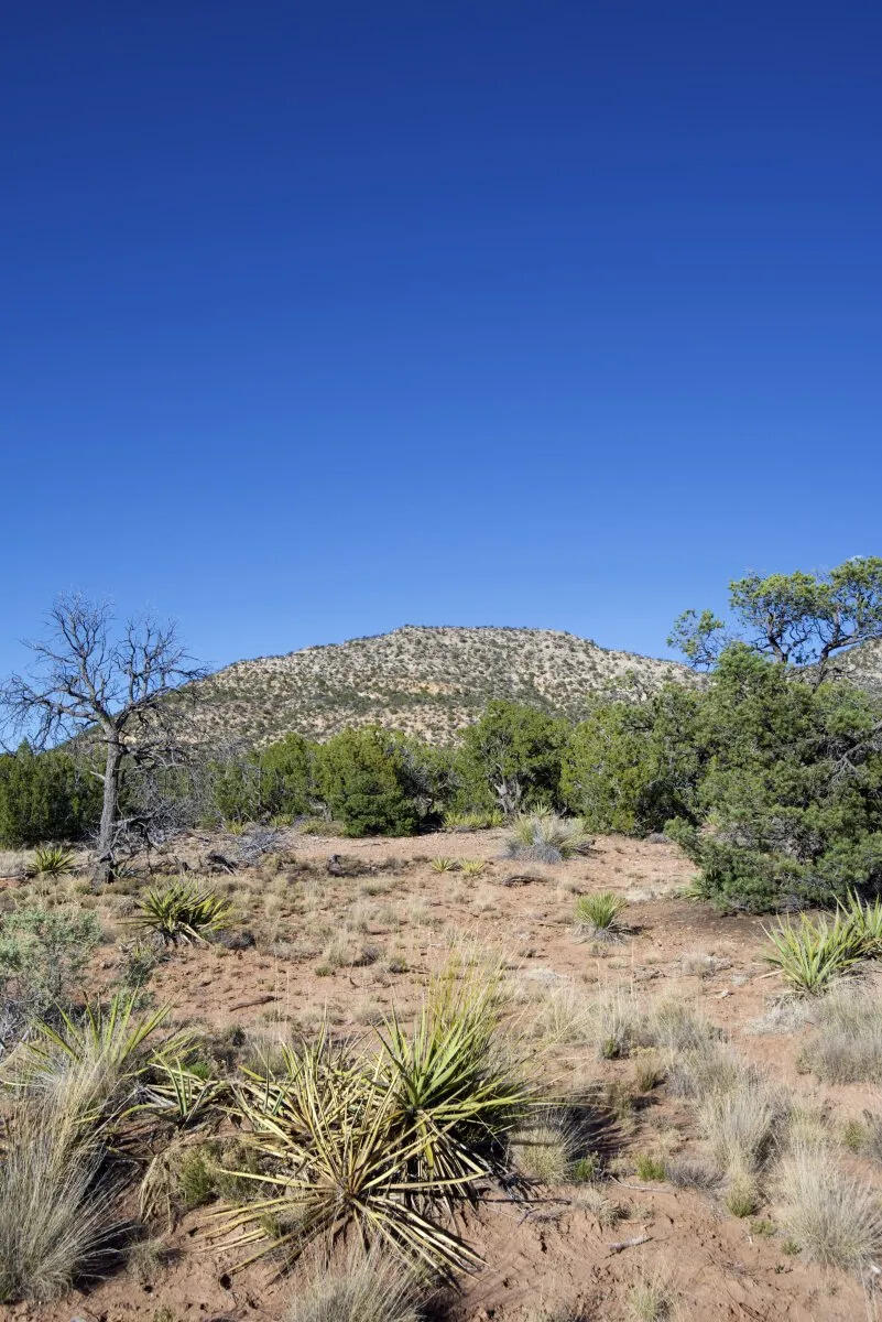 9 Caje Trail, Mountainair, New Mexico image 28