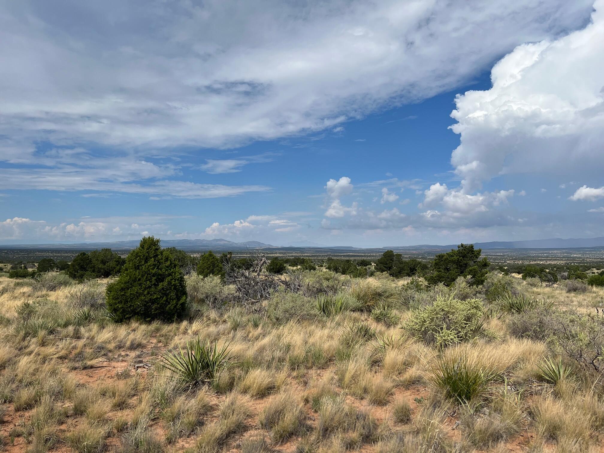 9 Caje Trail, Mountainair, New Mexico image 2