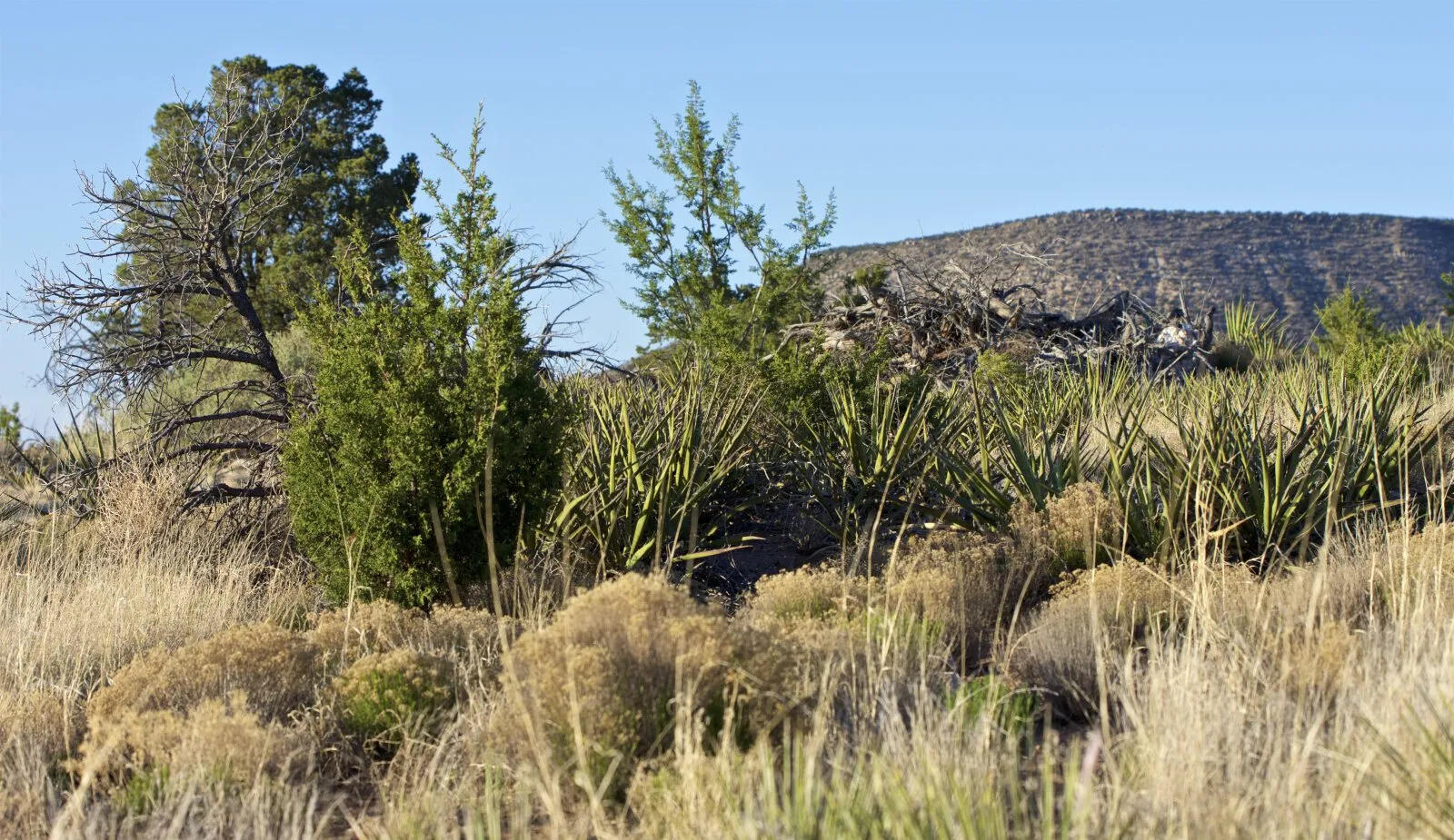 9 Caje Trail, Mountainair, New Mexico image 40