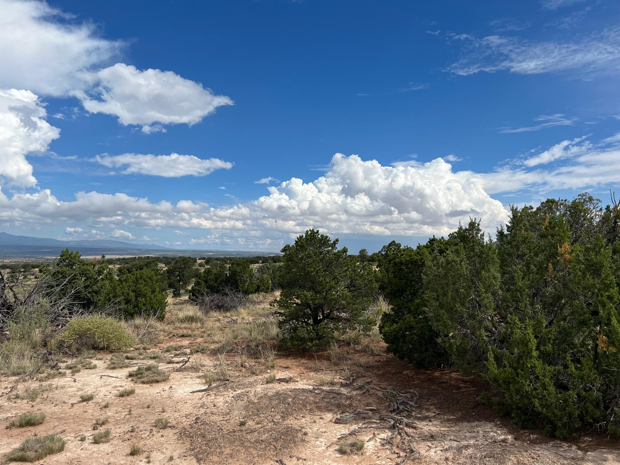 9 Caje Trail, Mountainair, New Mexico image 7