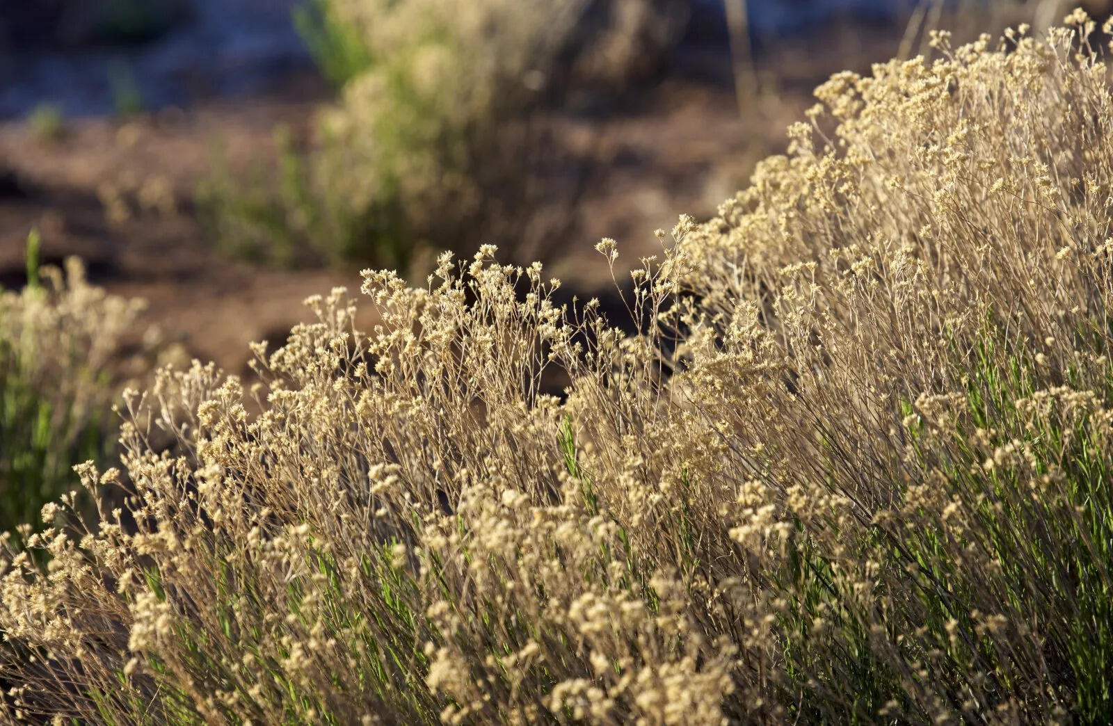 9 Caje Trail, Mountainair, New Mexico image 44