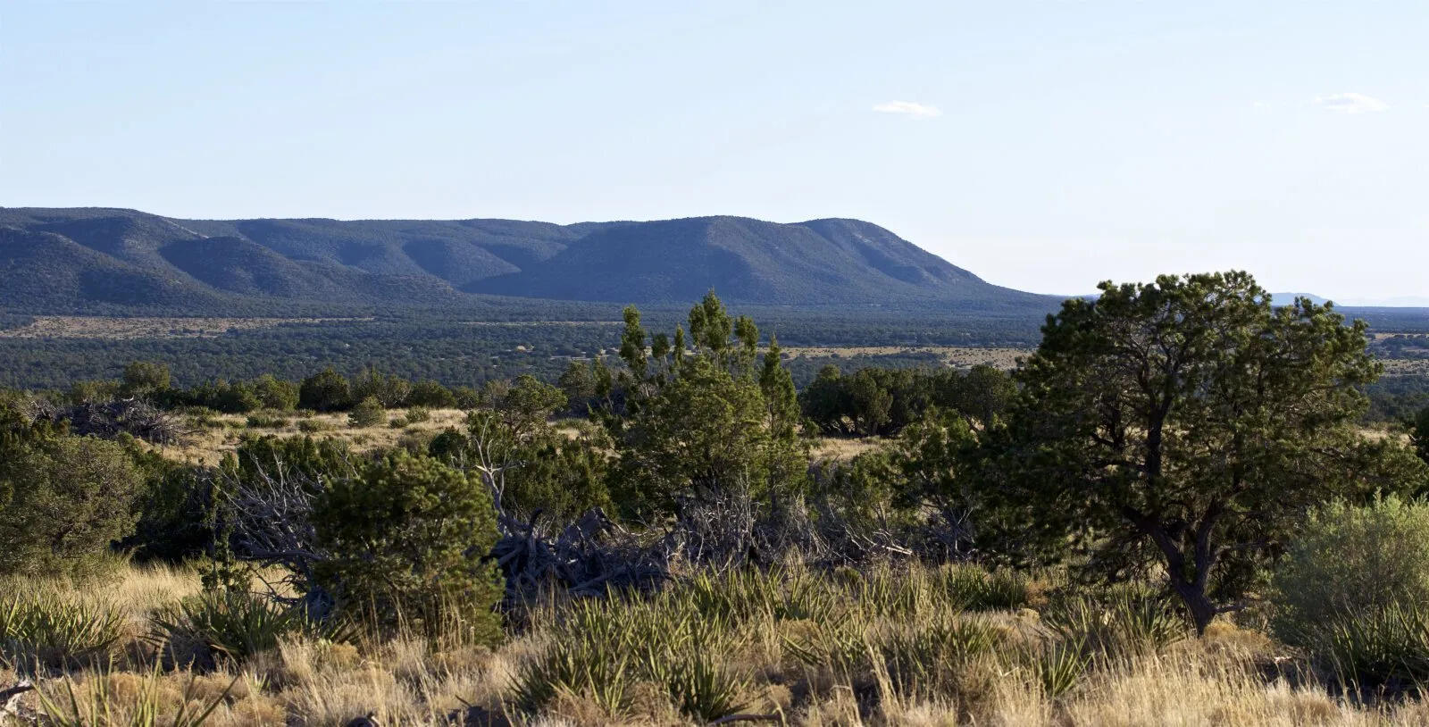 9 Caje Trail, Mountainair, New Mexico image 12