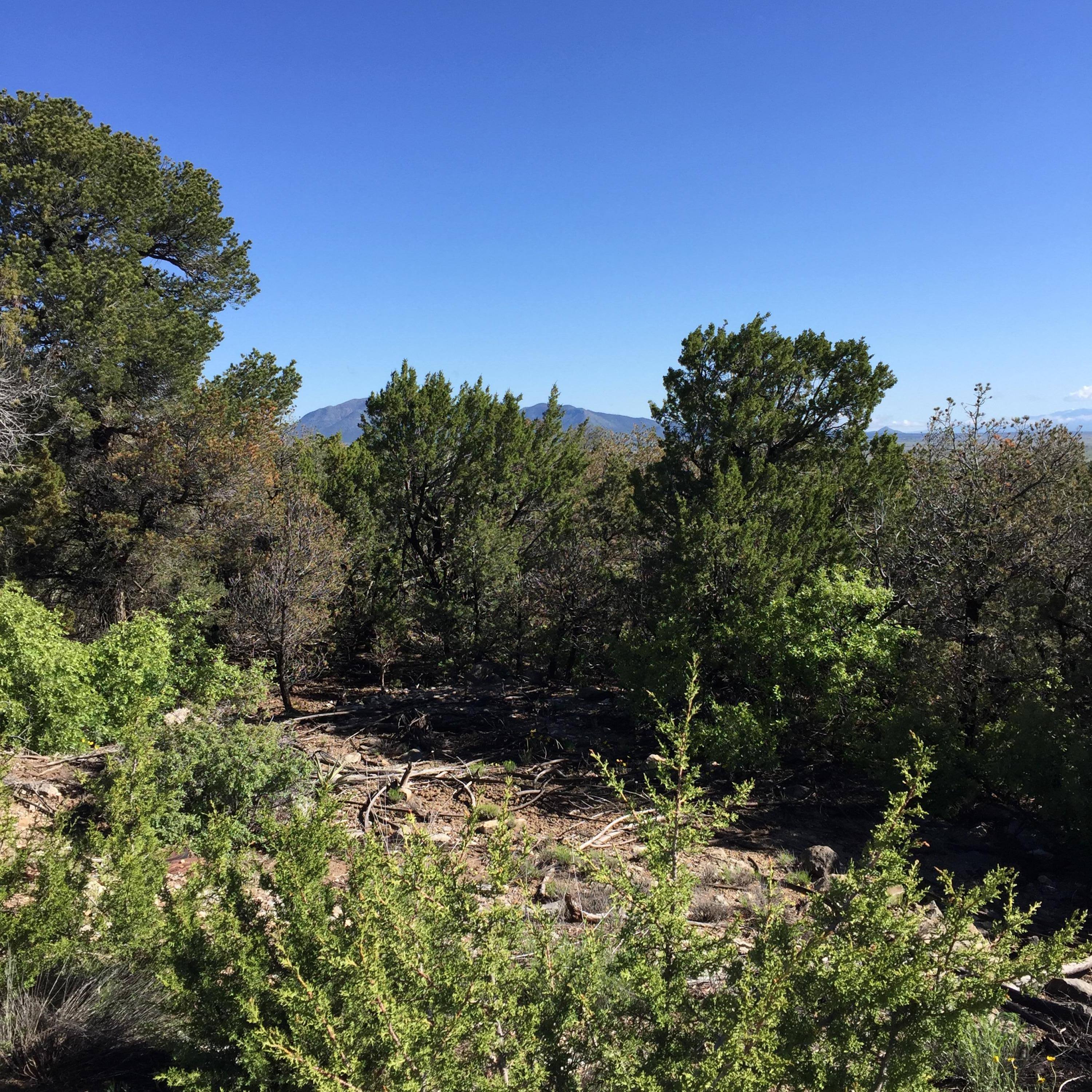 15 Las Nietas Court, Edgewood, New Mexico image 1