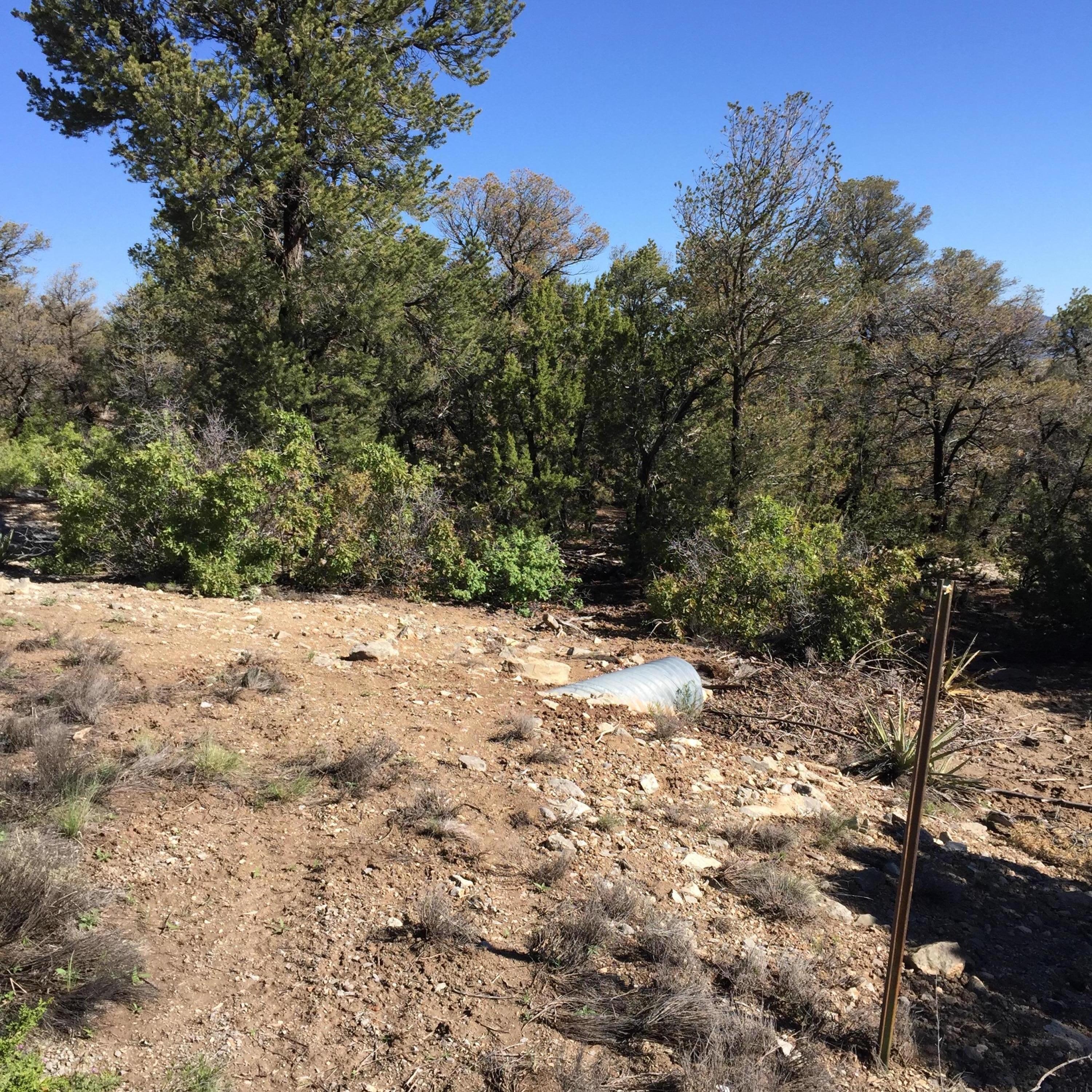 15 Las Nietas Court, Edgewood, New Mexico image 4