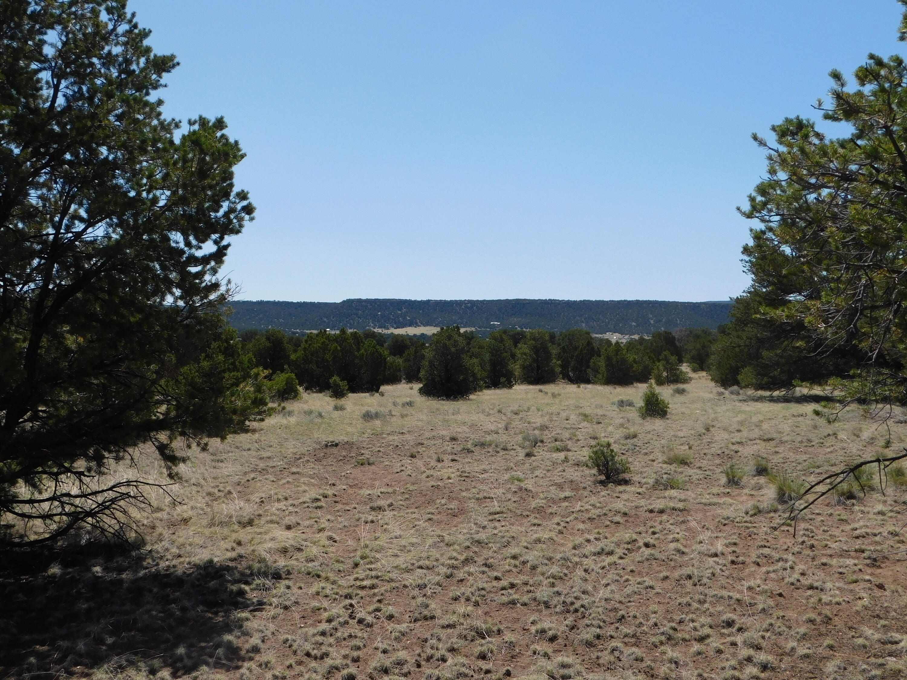 Lots 13 & N Coyote Trail, Quemado, New Mexico image 17