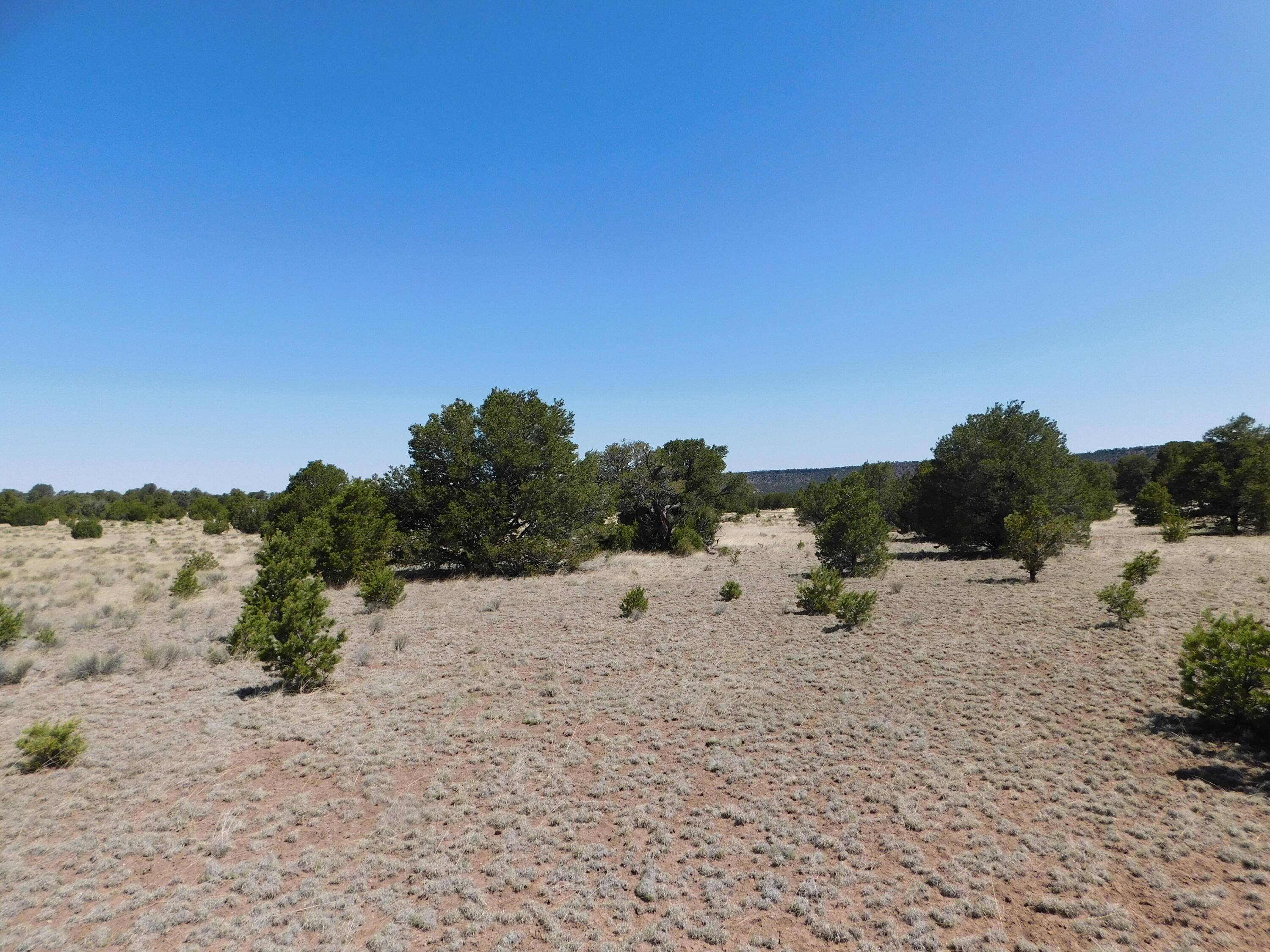 Lots 13 & N Coyote Trail, Quemado, New Mexico image 7