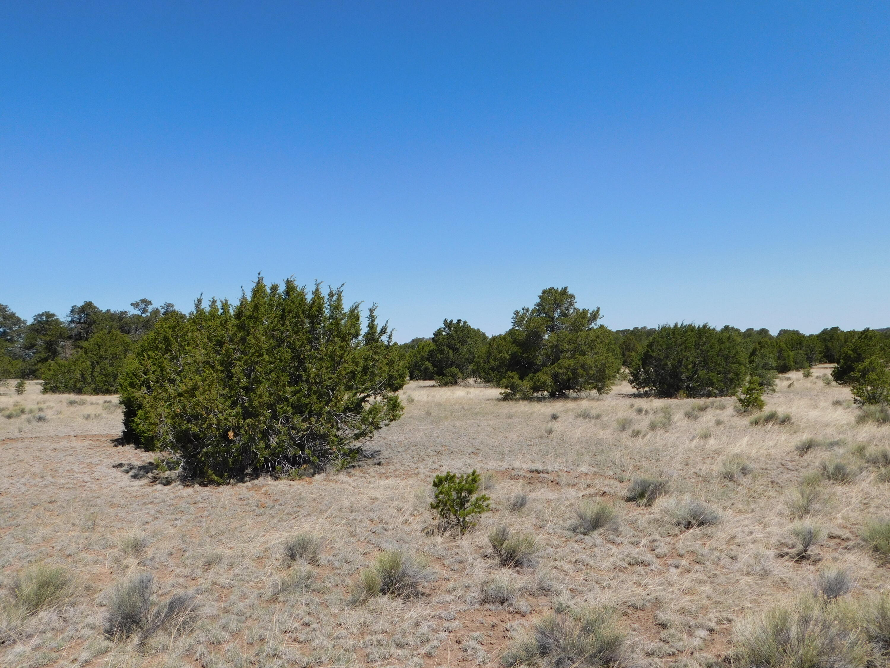 Lots 13 & N Coyote Trail, Quemado, New Mexico image 10