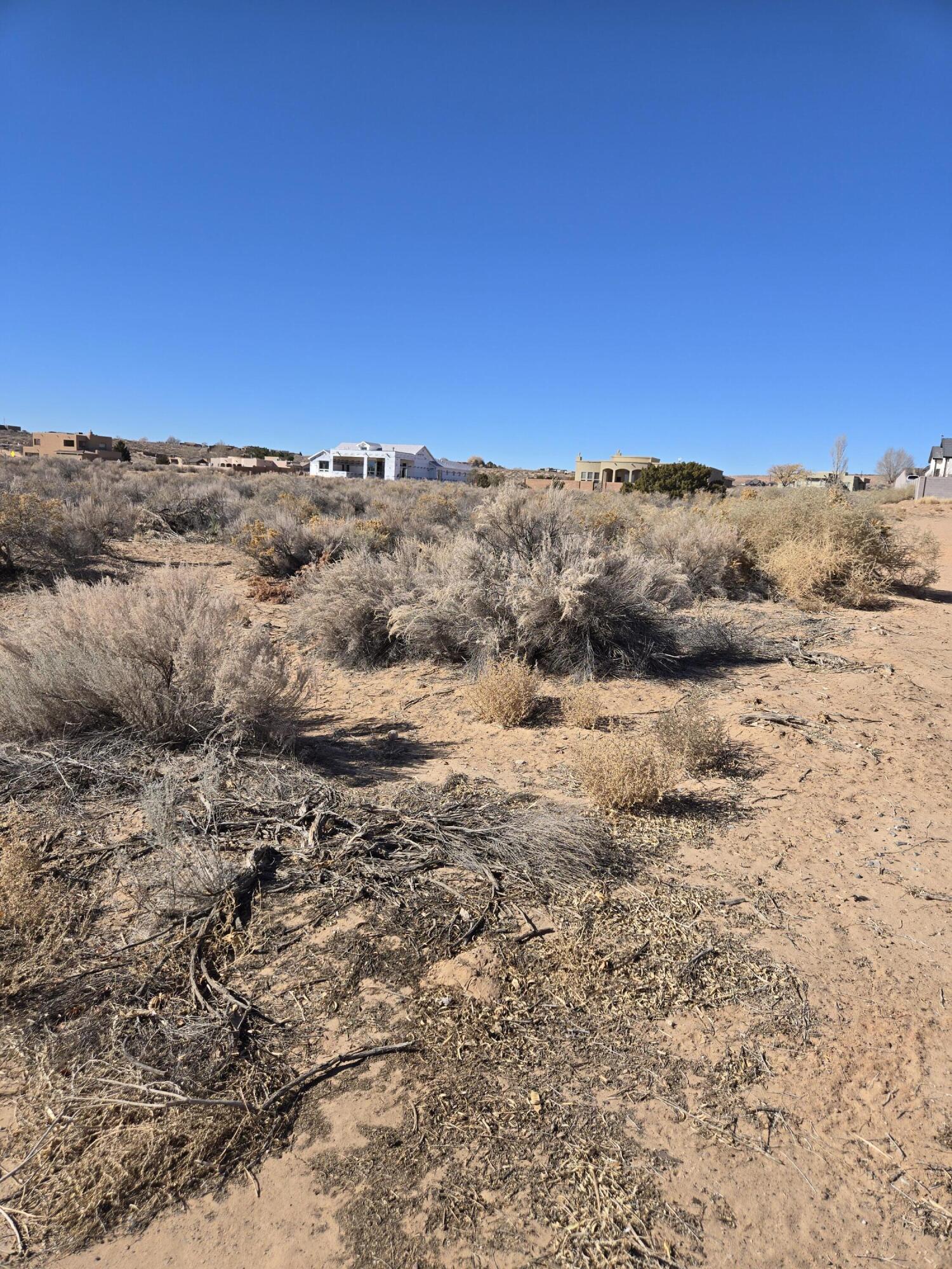 Sonora Road, Rio Rancho, New Mexico image 1