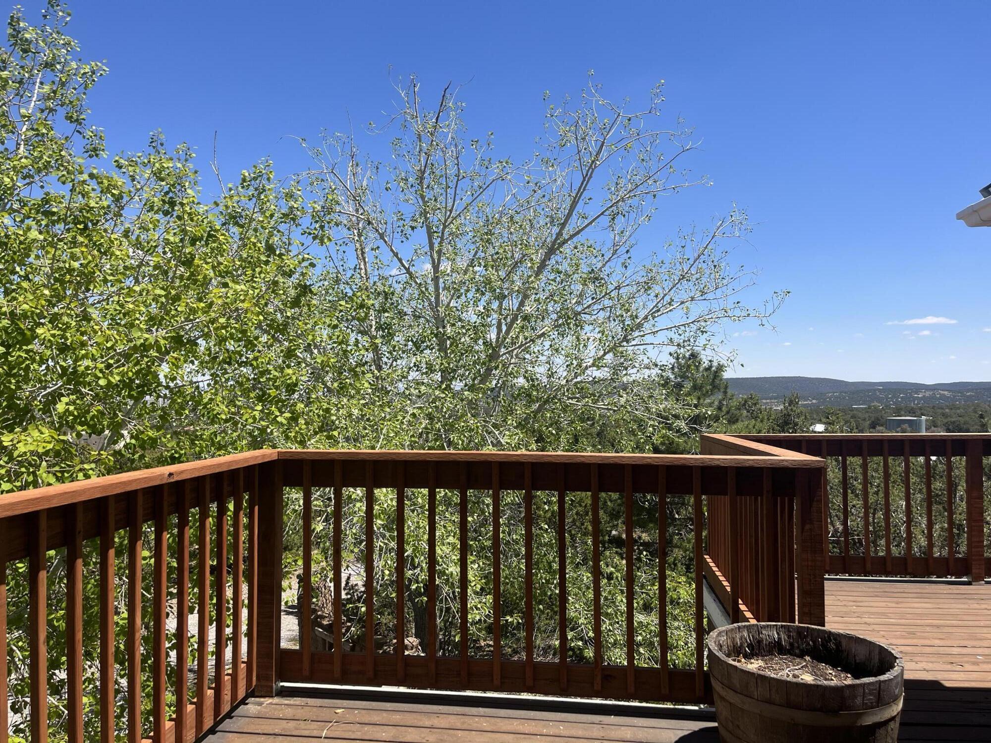 55 Western Saddle Drive, Tijeras, New Mexico image 15