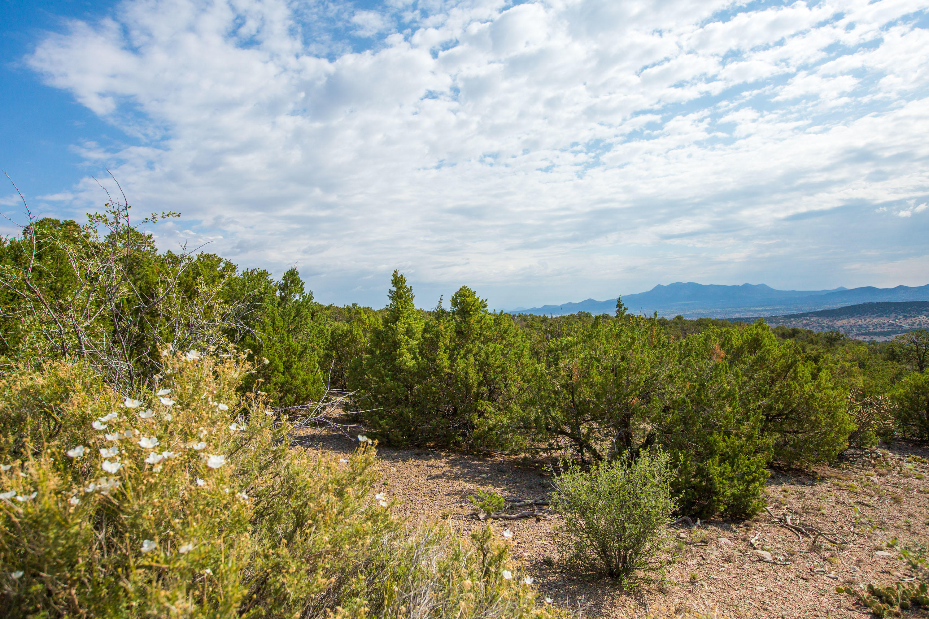 66 Prado Vista, Sandia Park, New Mexico image 15