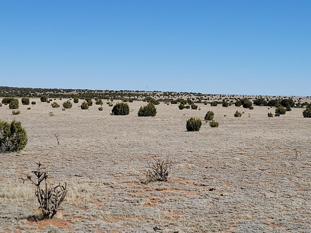 115 Brazos Loop, Estancia, New Mexico image 2